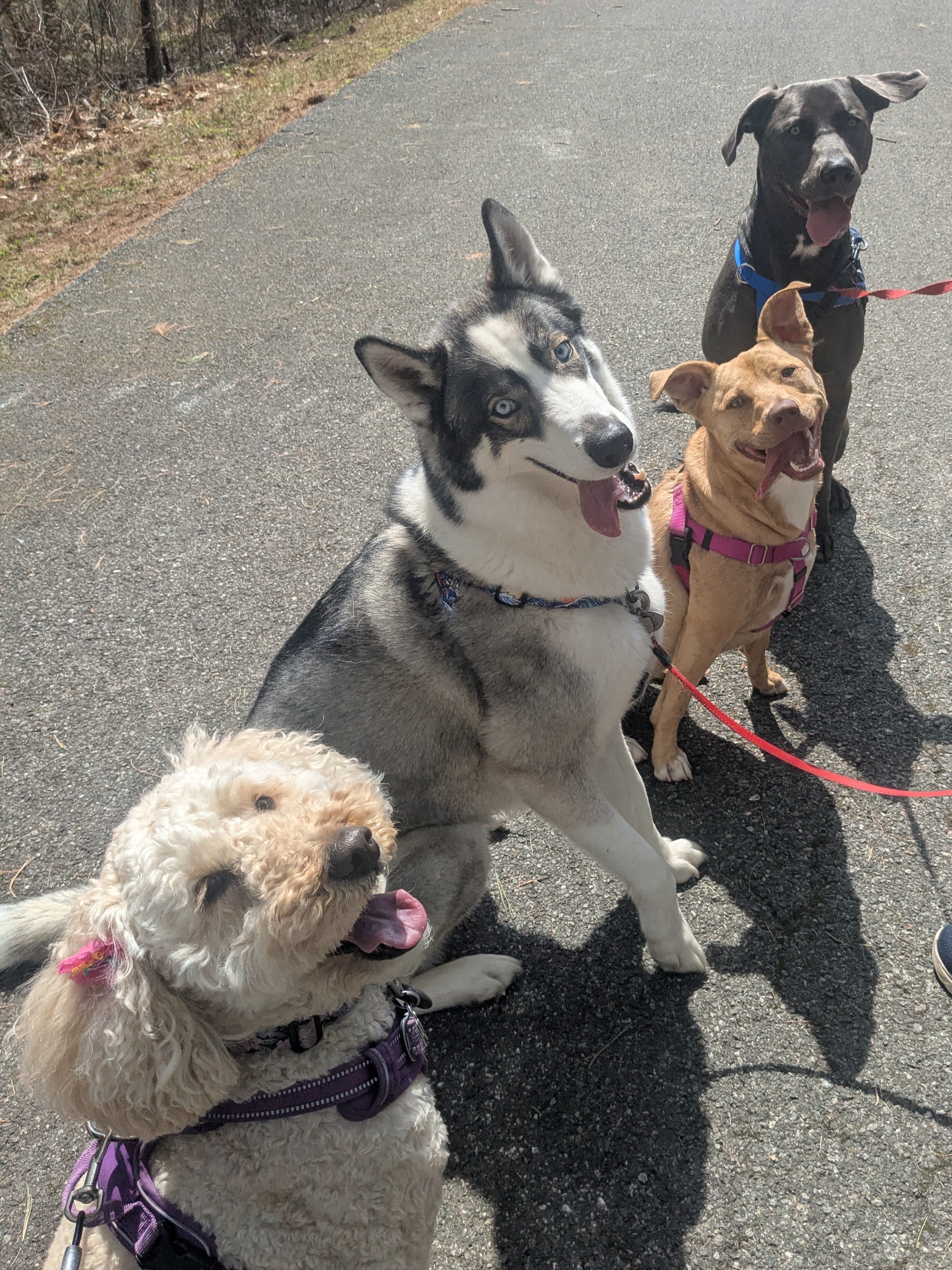 The Mutley Crüe… In Concert!! 😂