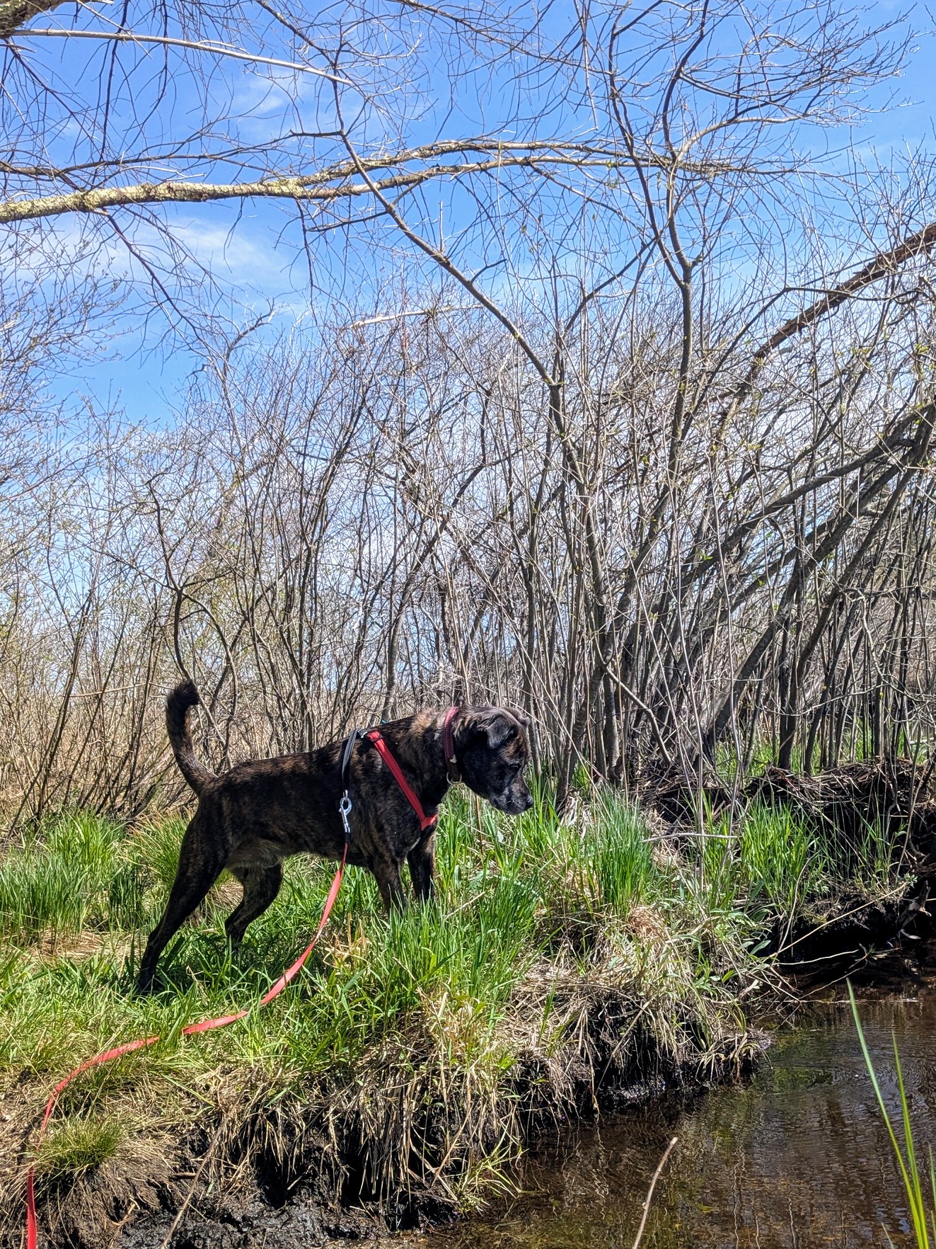 Mosse Reflects On Life