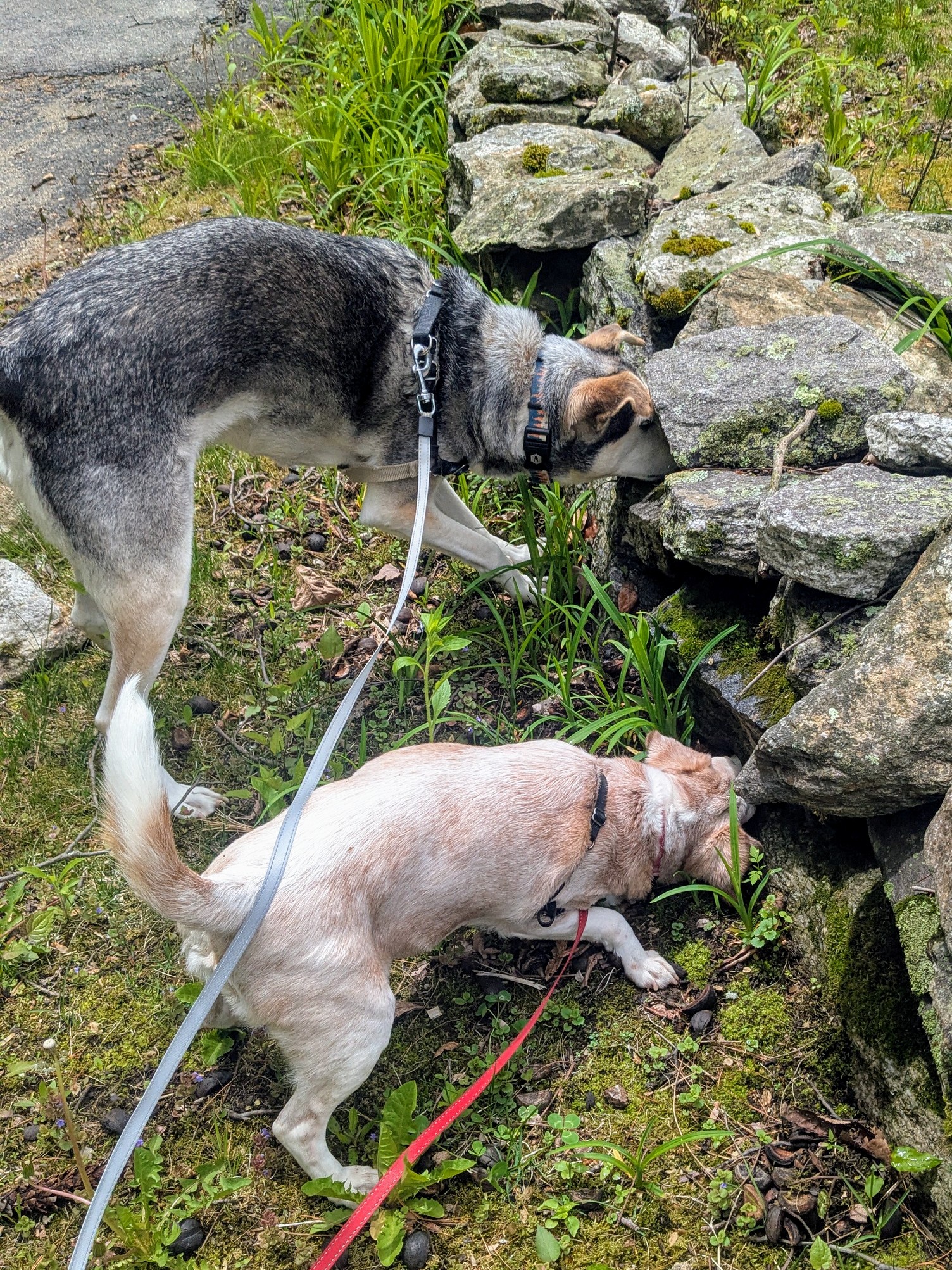 On The Hunt!