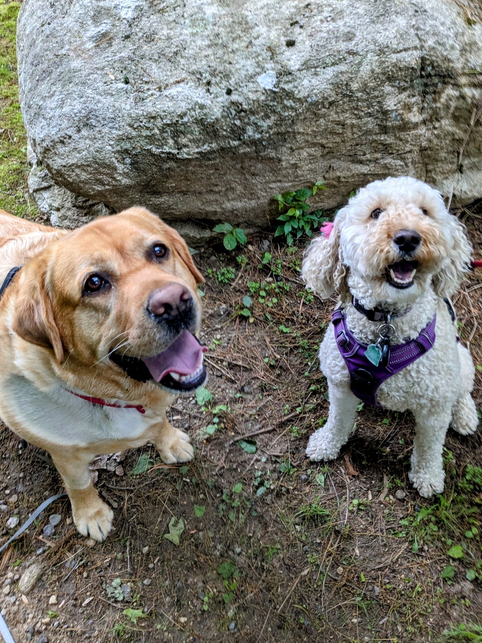 Millie shows off for Charlie!