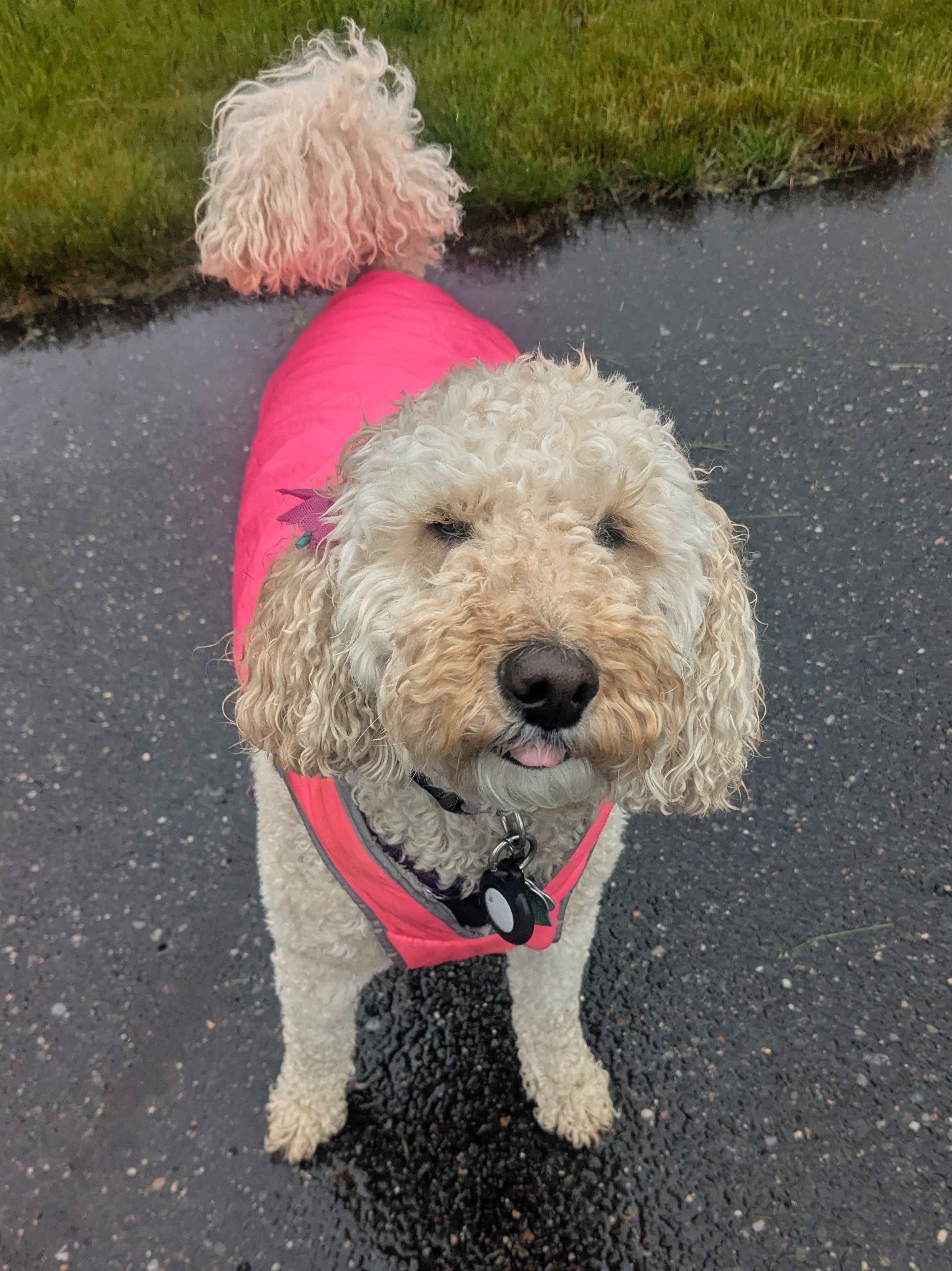 Catching raindrops!