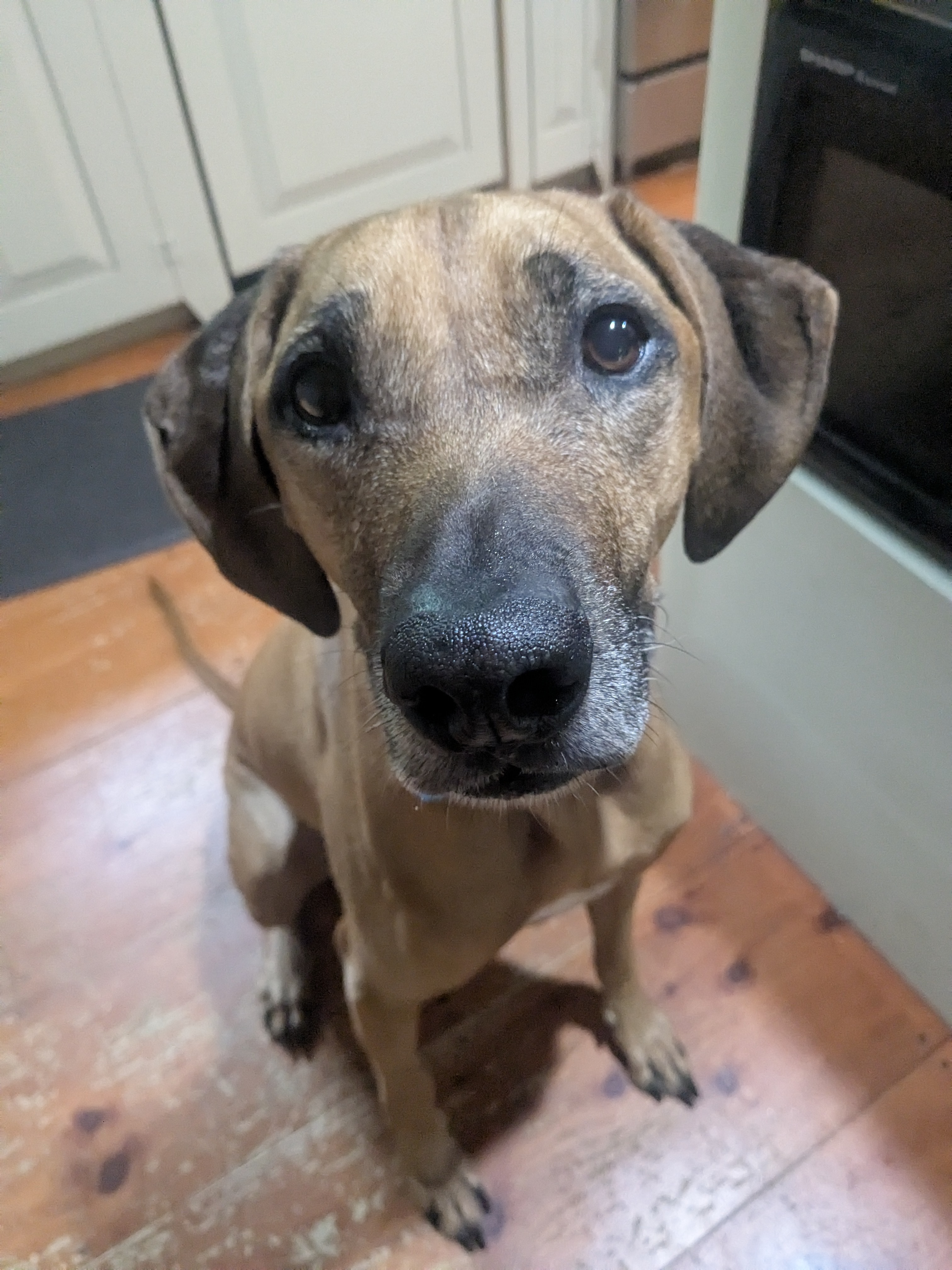 Do We Have To Walk In The Rain?