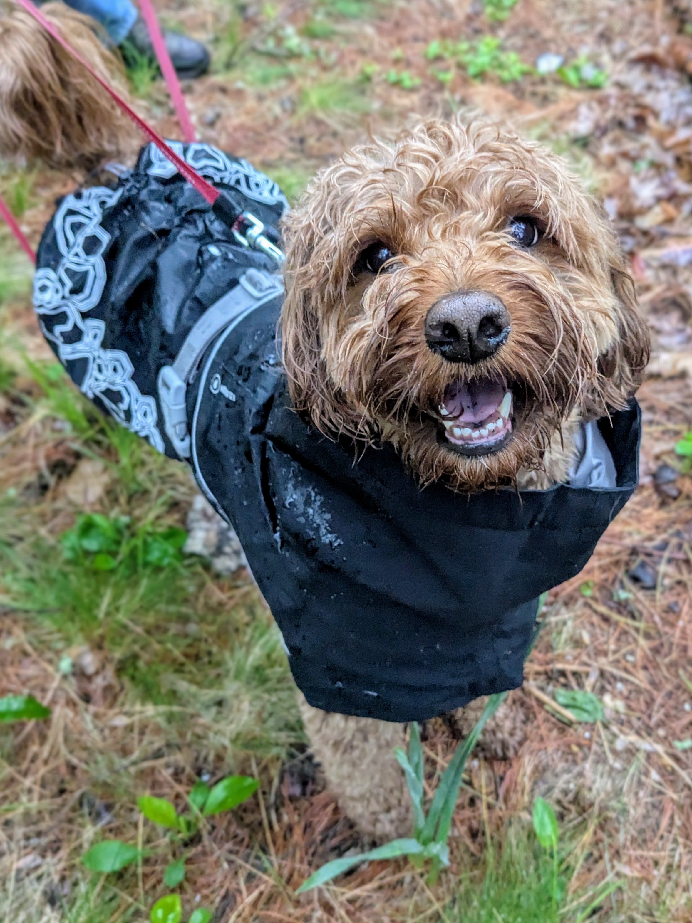 Rainy day fun