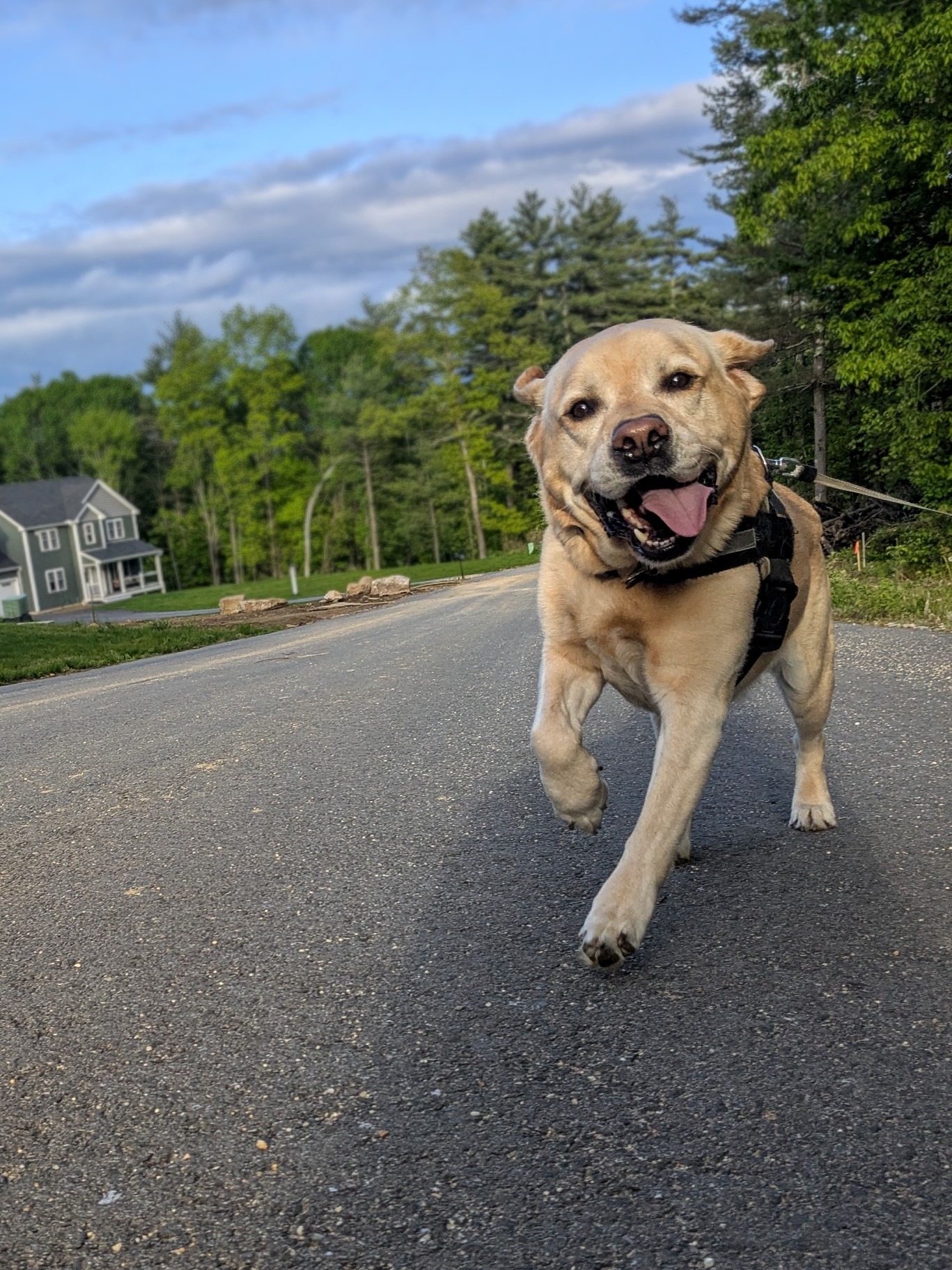A Sucker For Tucker 🥰