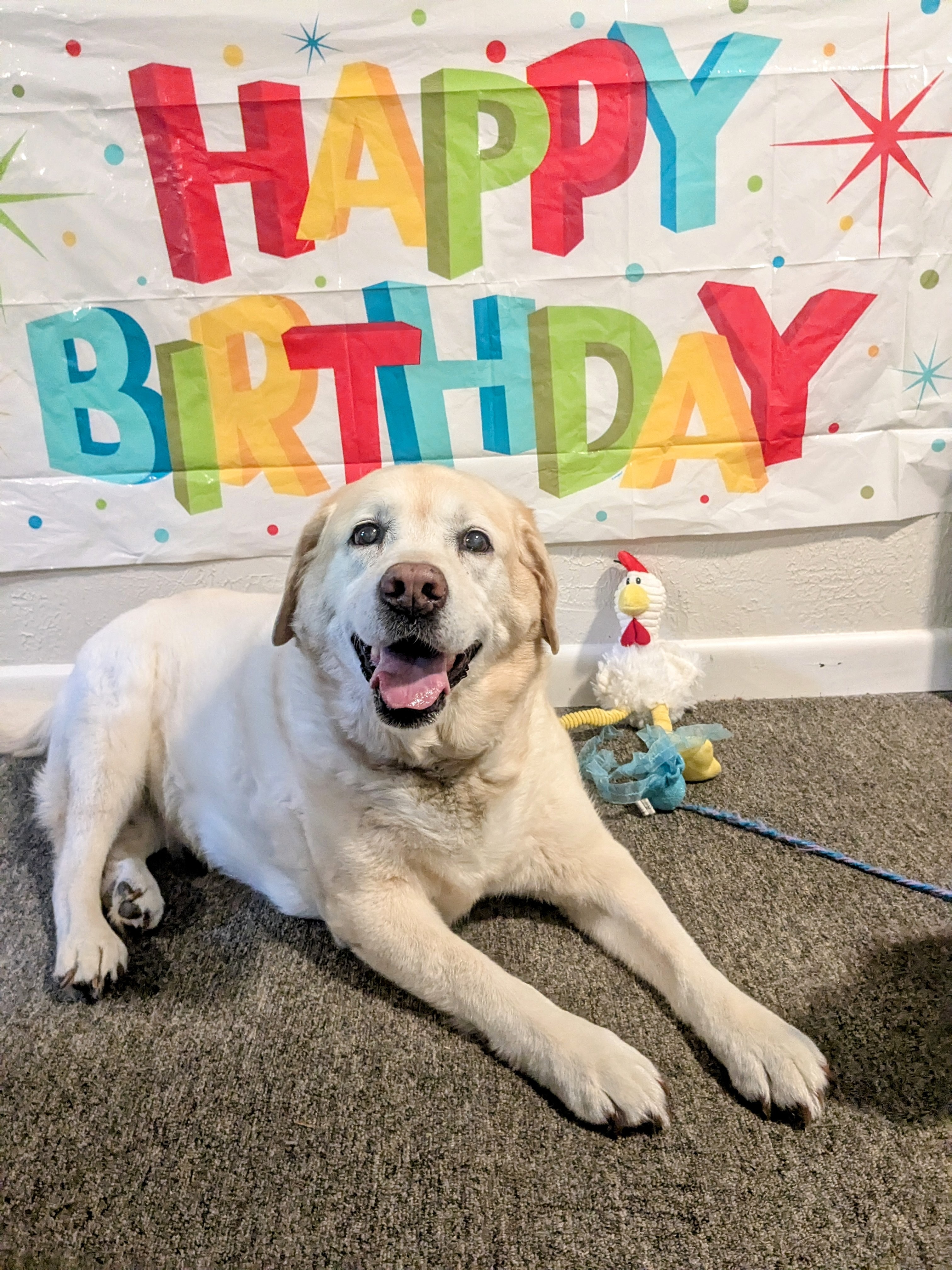 Happy 14th Birthday Nahla!