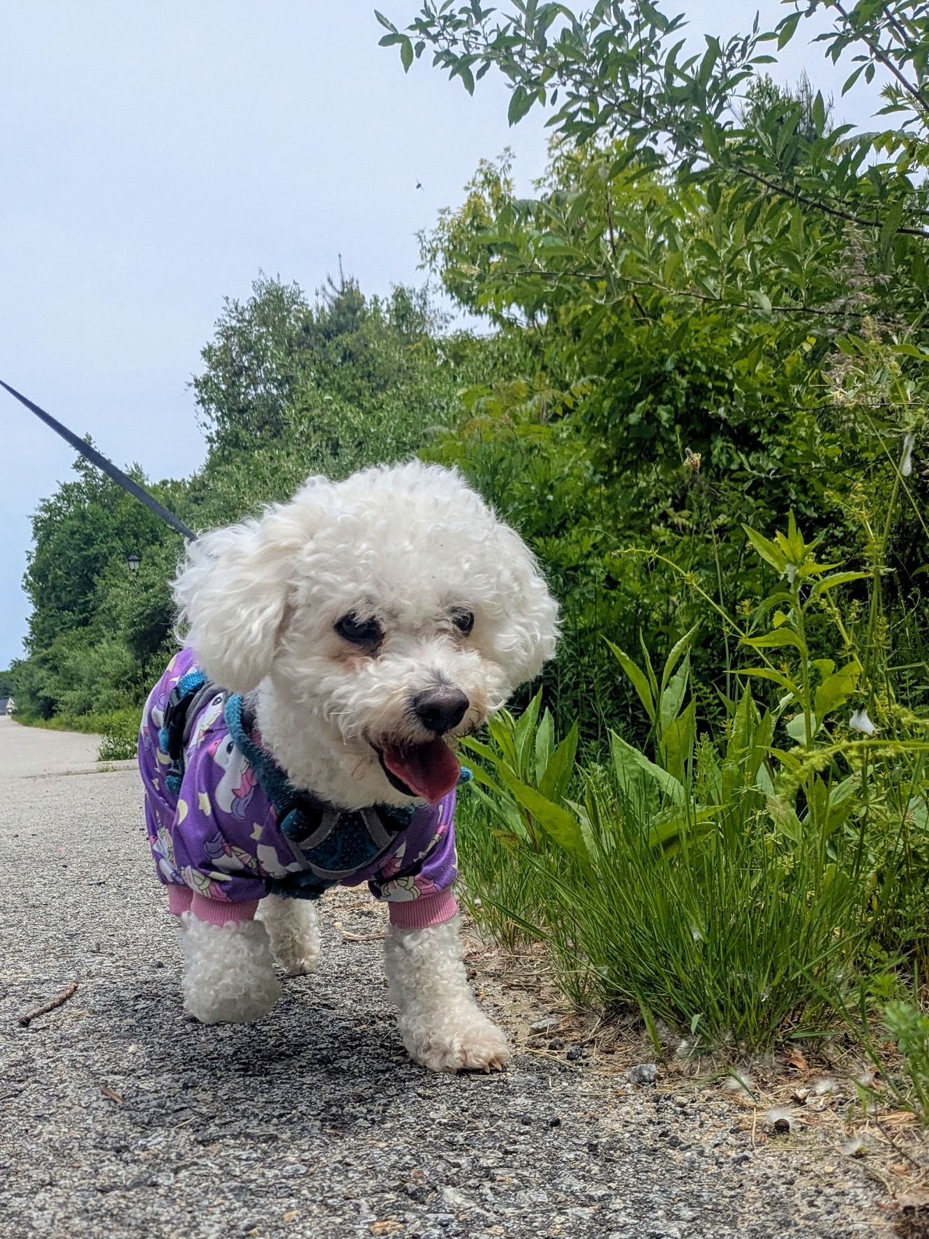 Mayor Mylo Meets McKenzie