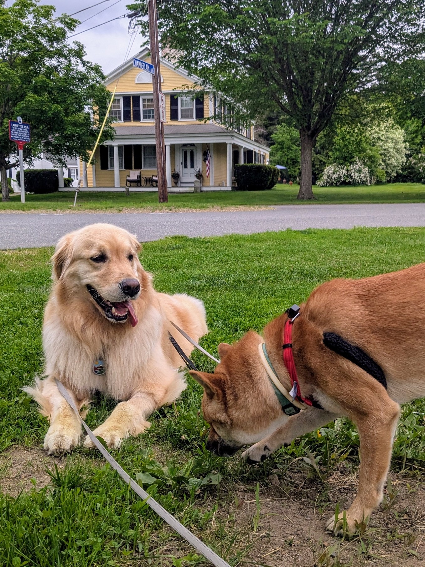 Everybody Loves A Good Girl!