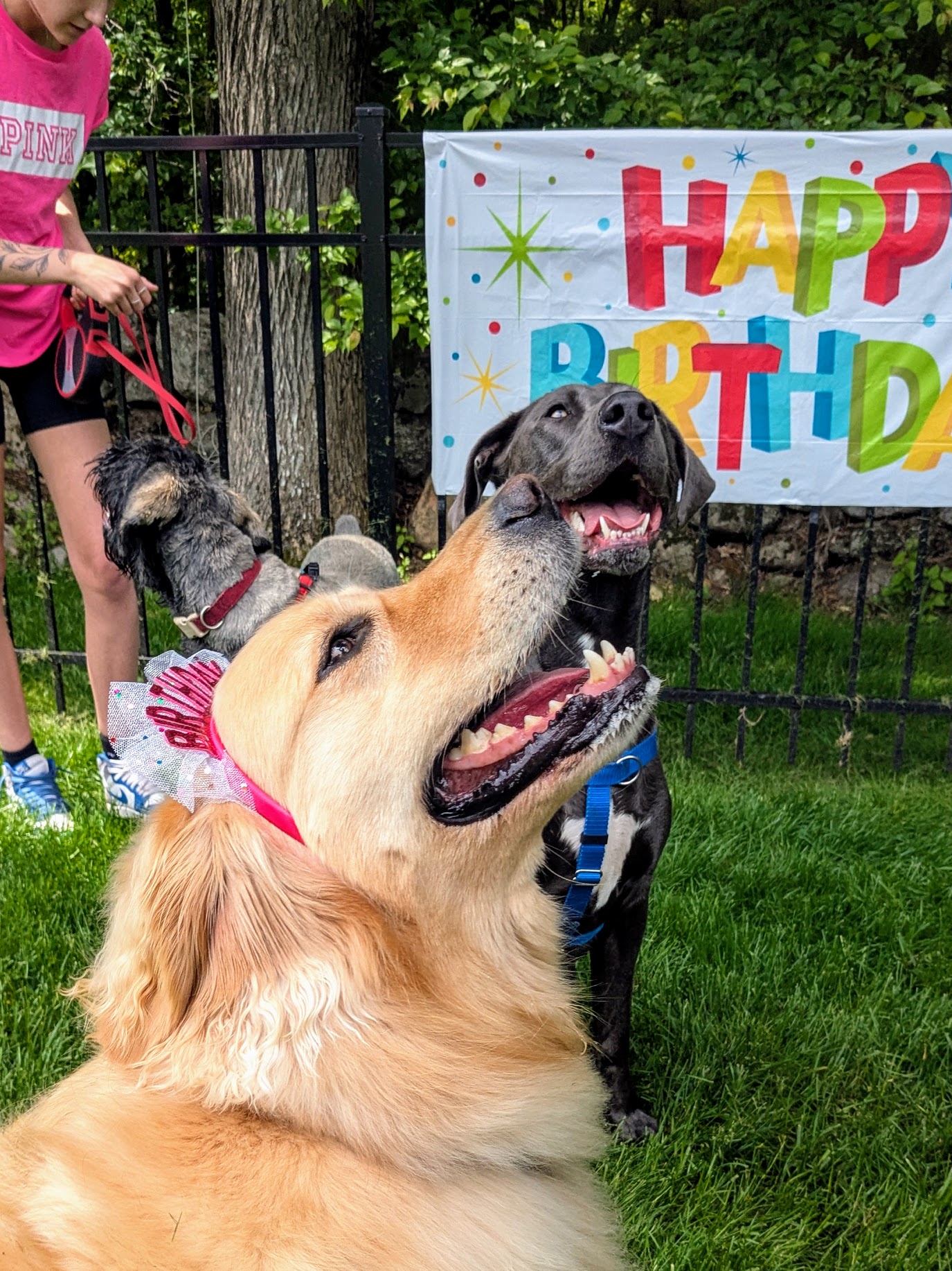 Birthday Club 🥳🎉