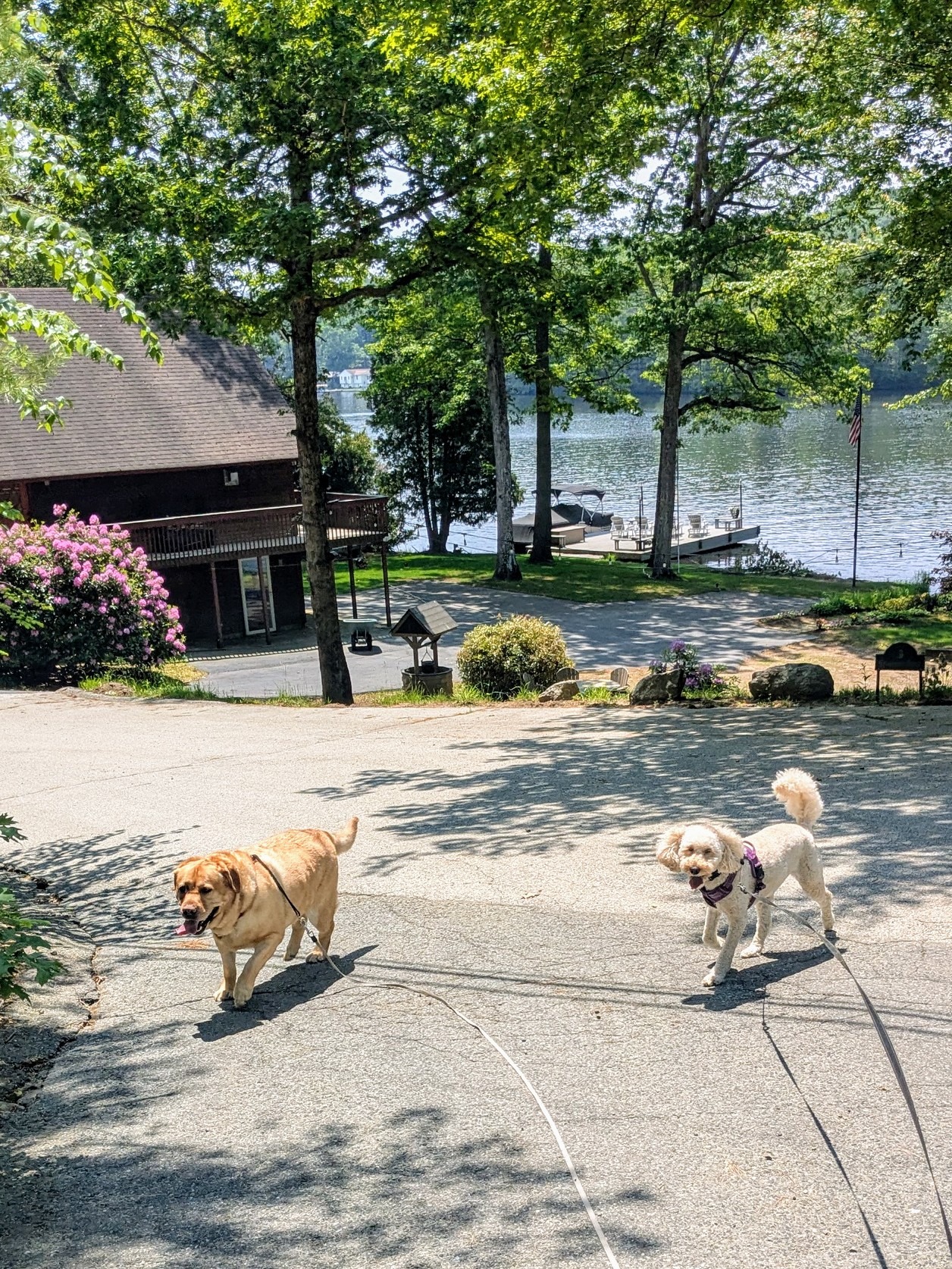 Lake Walk