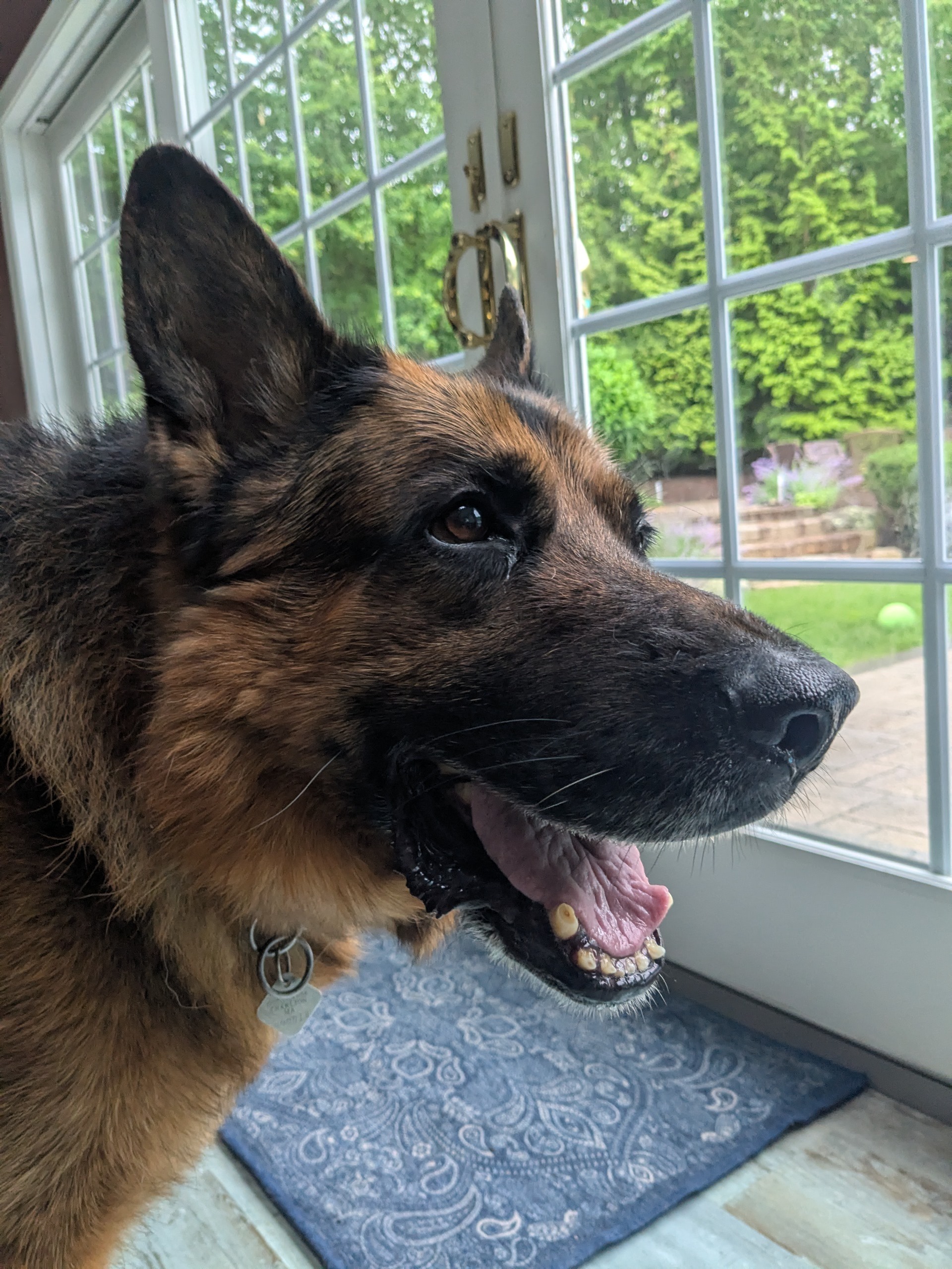 Max Makes More Friends!
