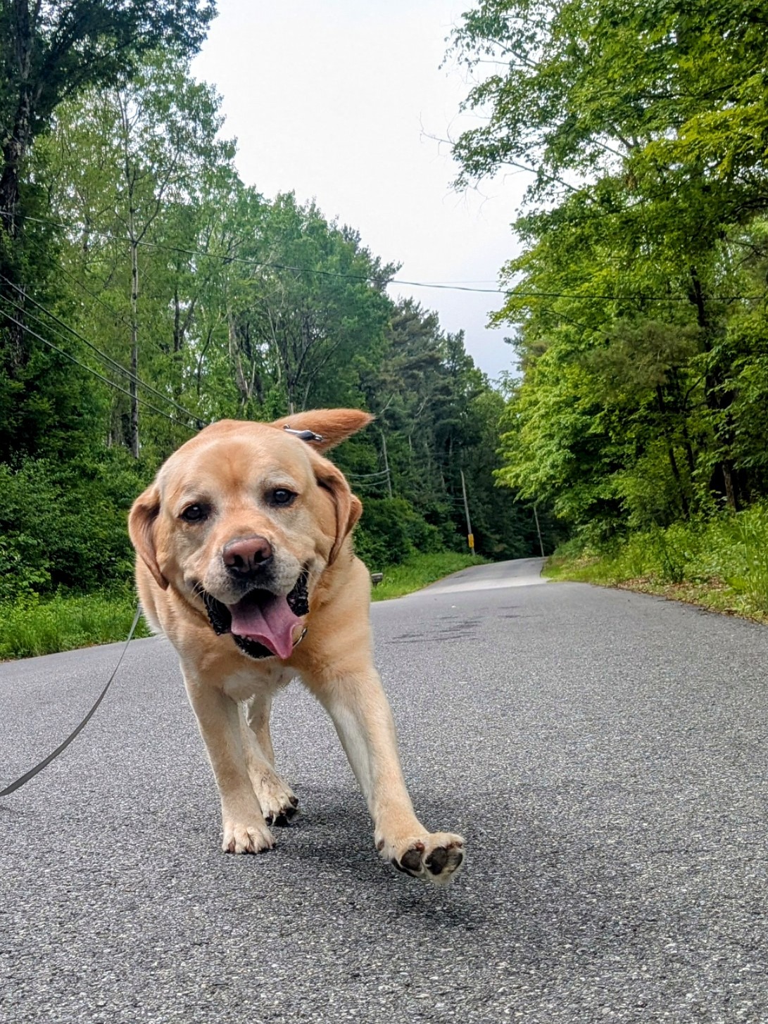 Just A Nice Walk! 😊