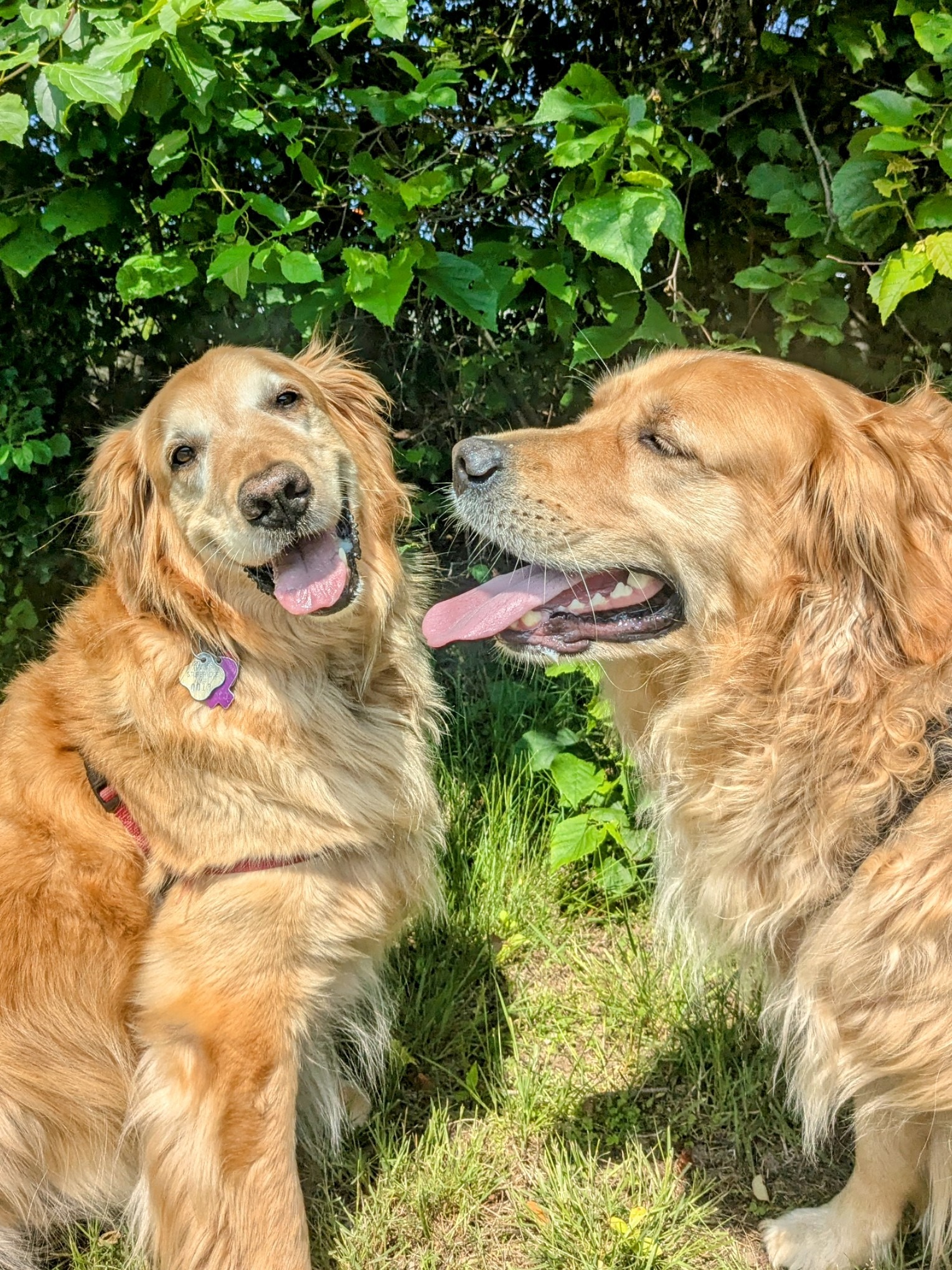 Friends To The End