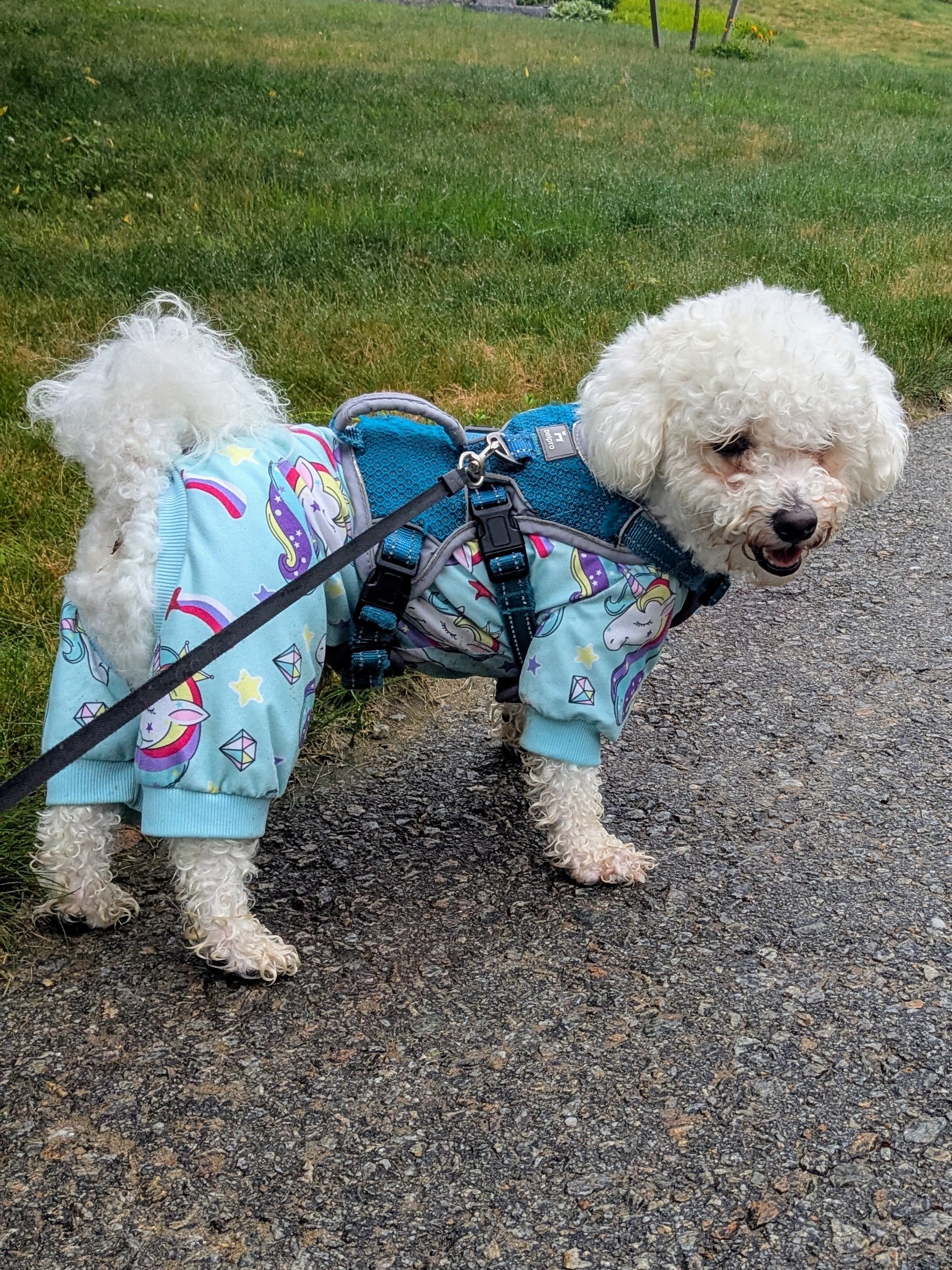 Rainy Day Walks Are Better In Unicorn Pj’s