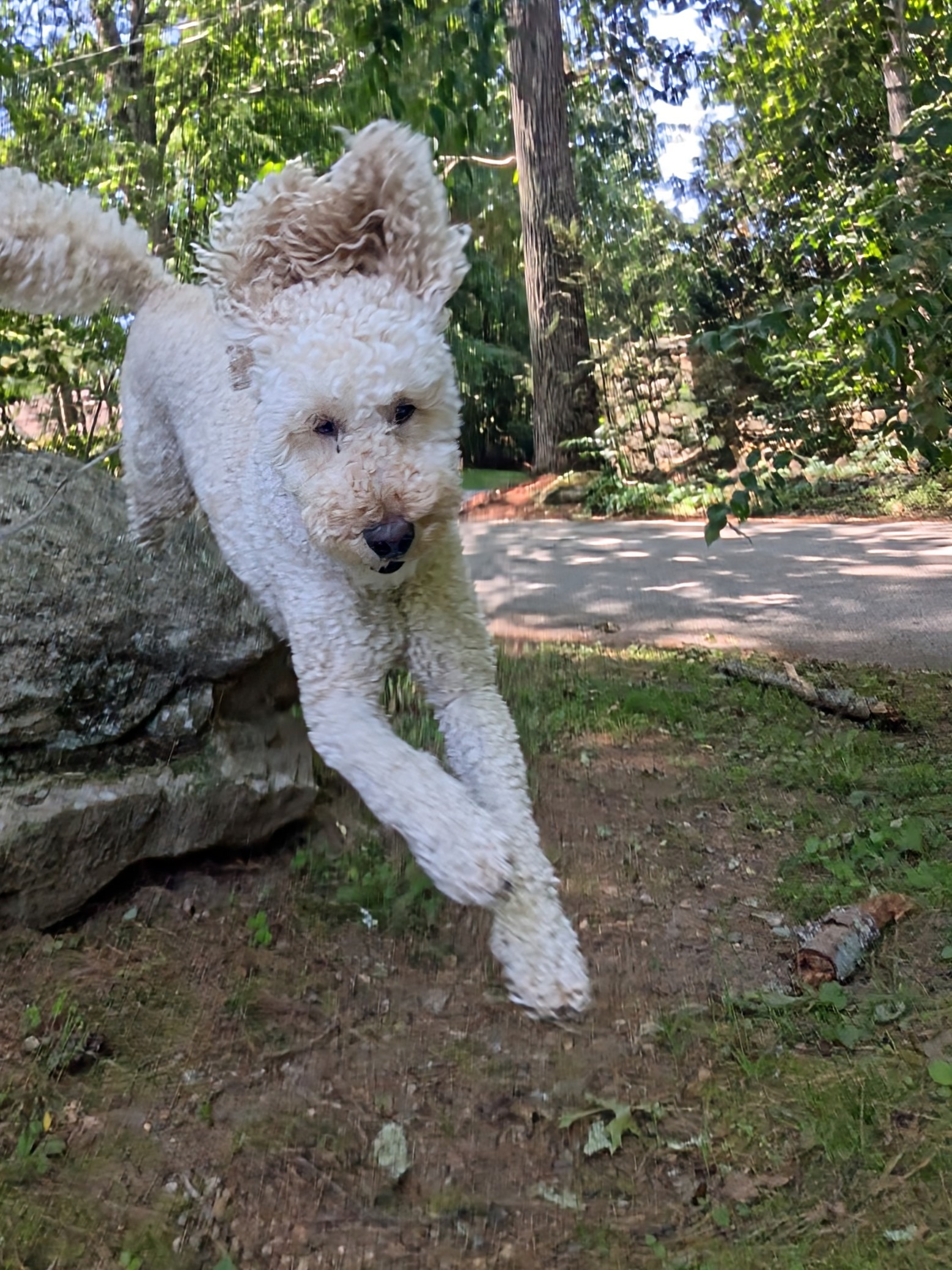 Millie Undaunted