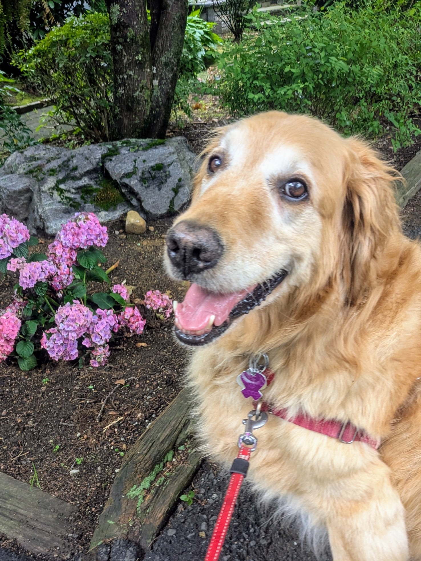 A Nice Walk On A Wednesday