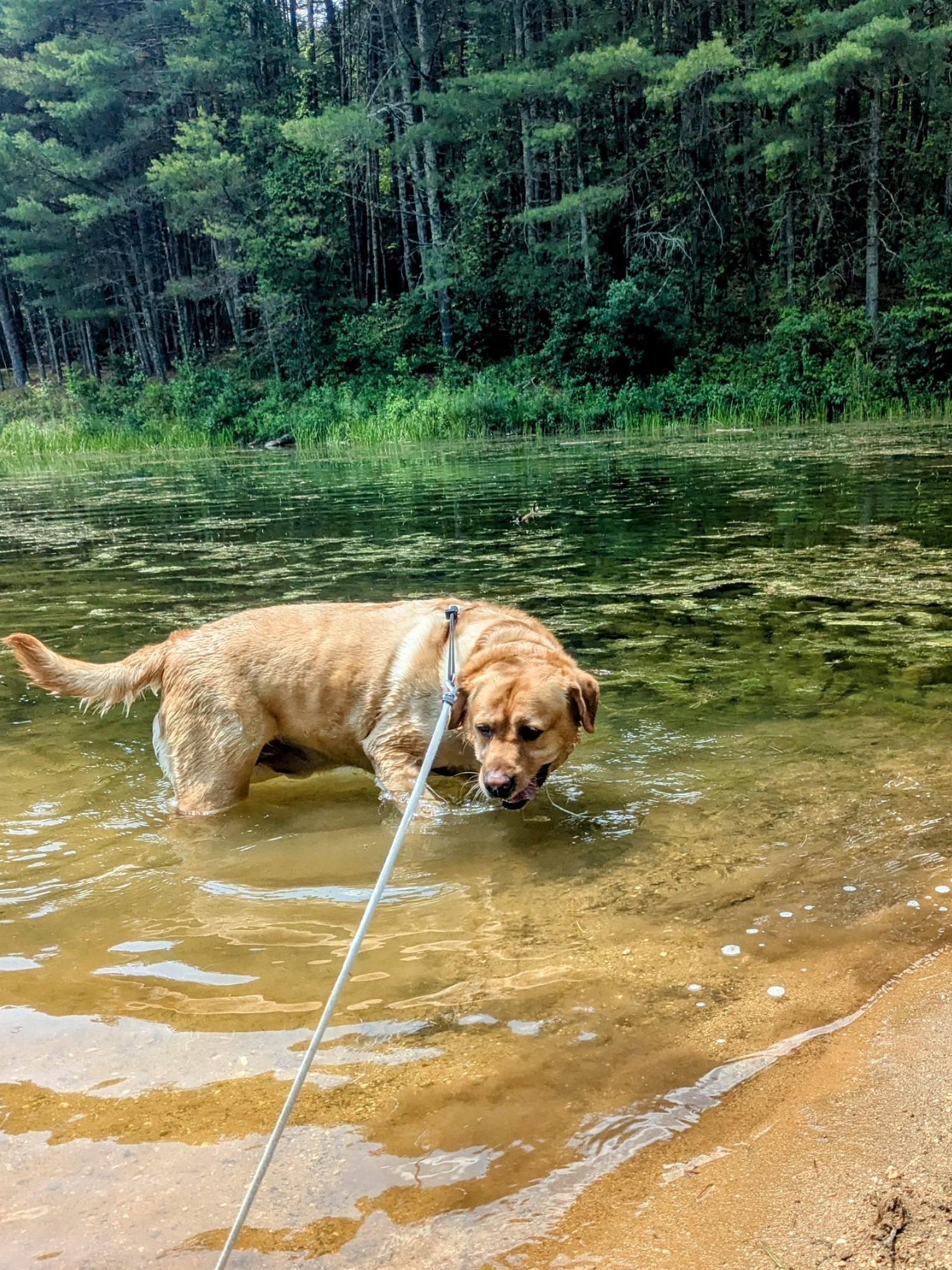 Water Fun Walk! 😂