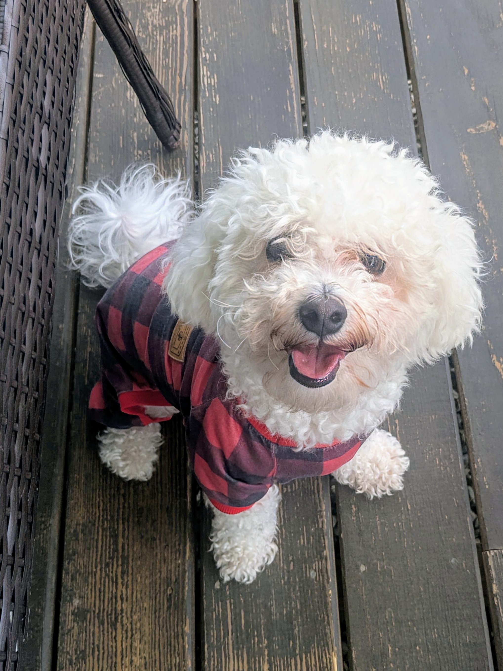 Mylo Mondays Are The Bestest!