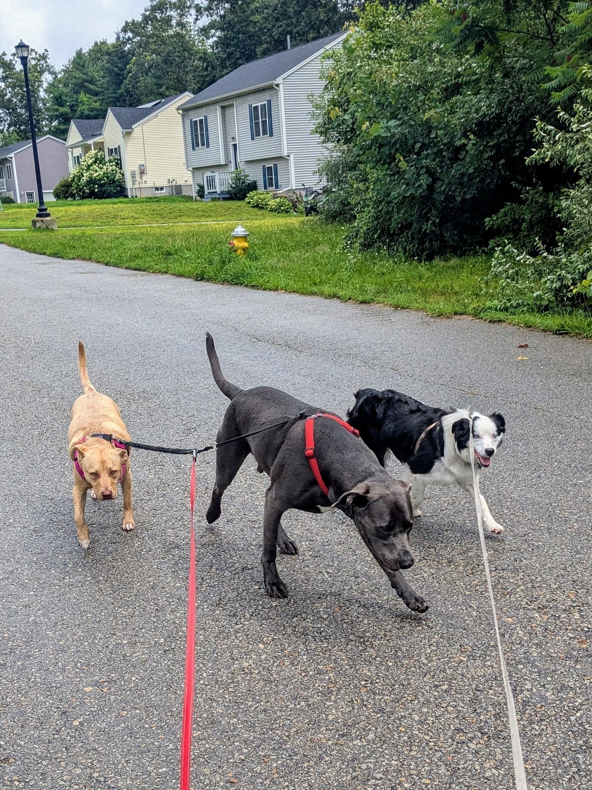 Here We Come, Walking Down The Street…