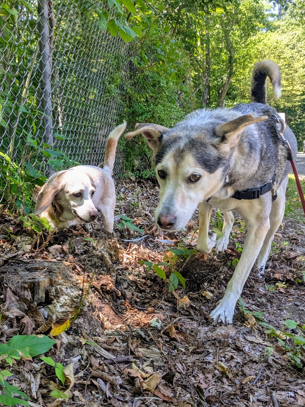 Beating The Heat