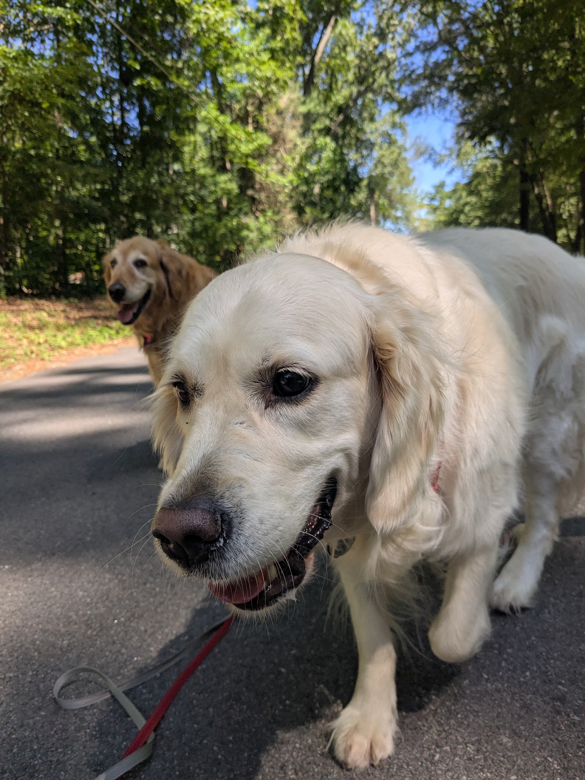 Kids At Play