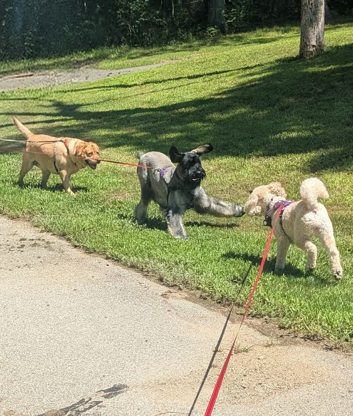 The Gang Cools Off