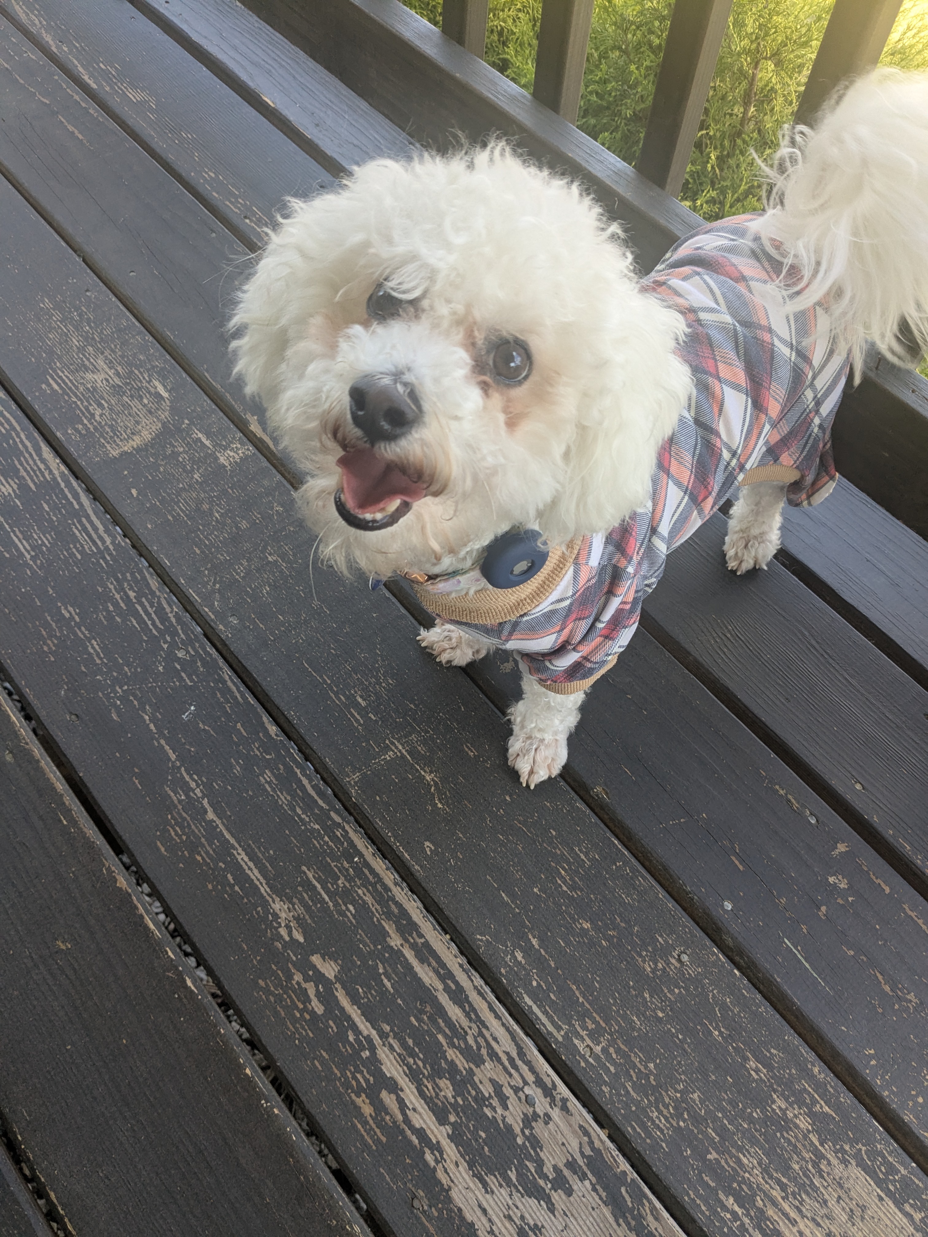 Mylo Mondays Are The Best!