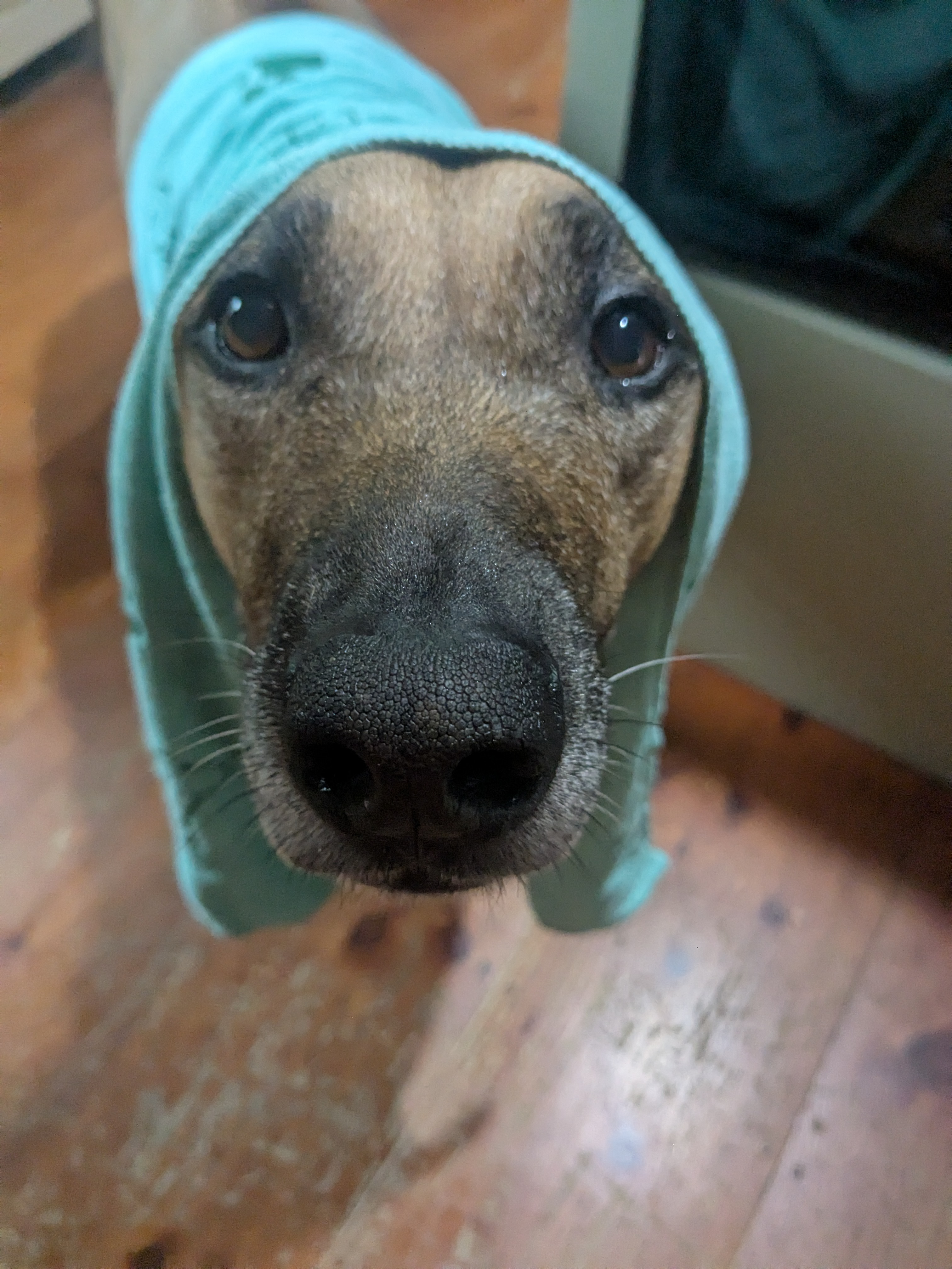 Rain Drops Keep Falling On My Head!🎶