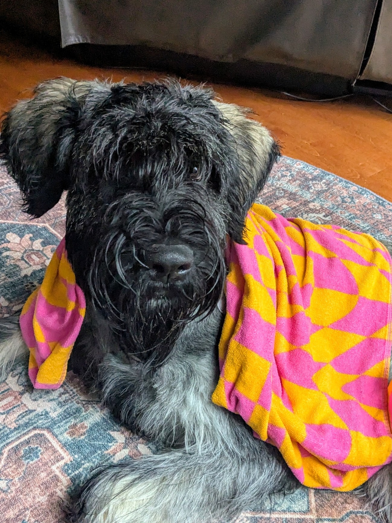 Towel That Ends Well