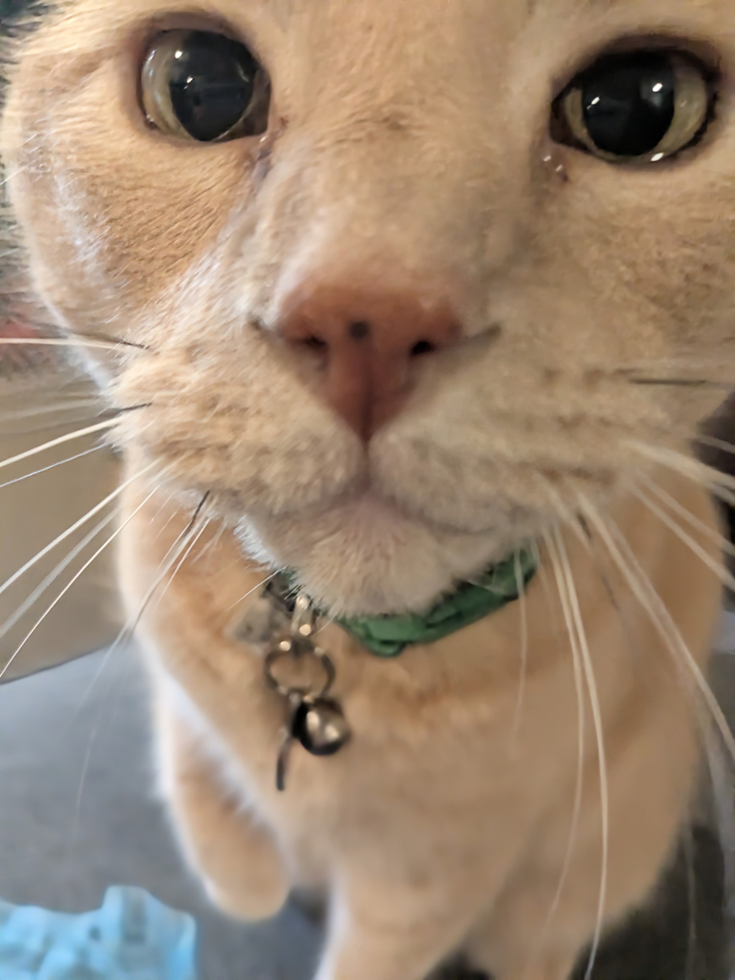 Hodor Has Stolen My Heart ❤️ 🥹