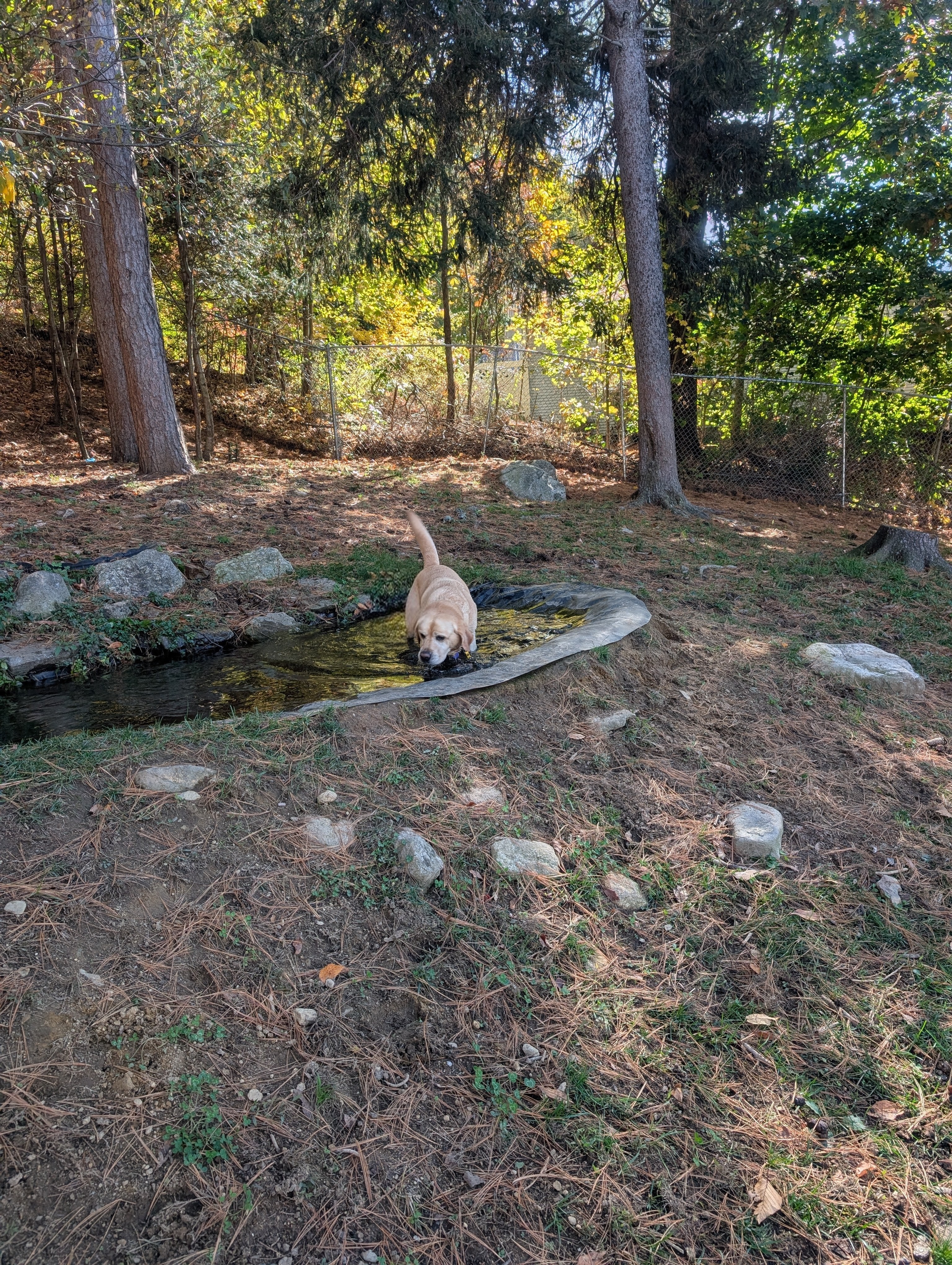 Tucker Found The Pond!