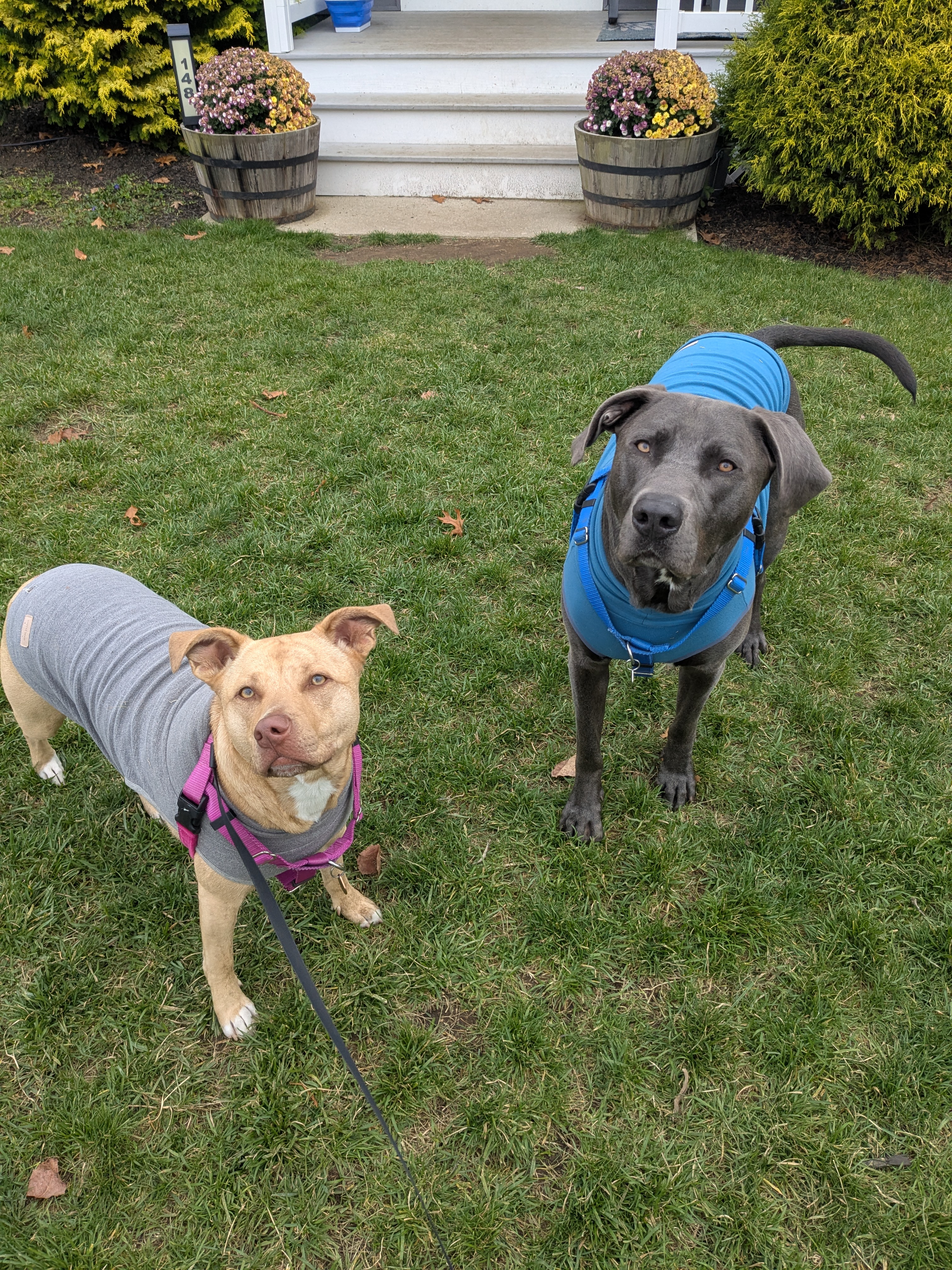 Walk And Roll Kinda Day!!