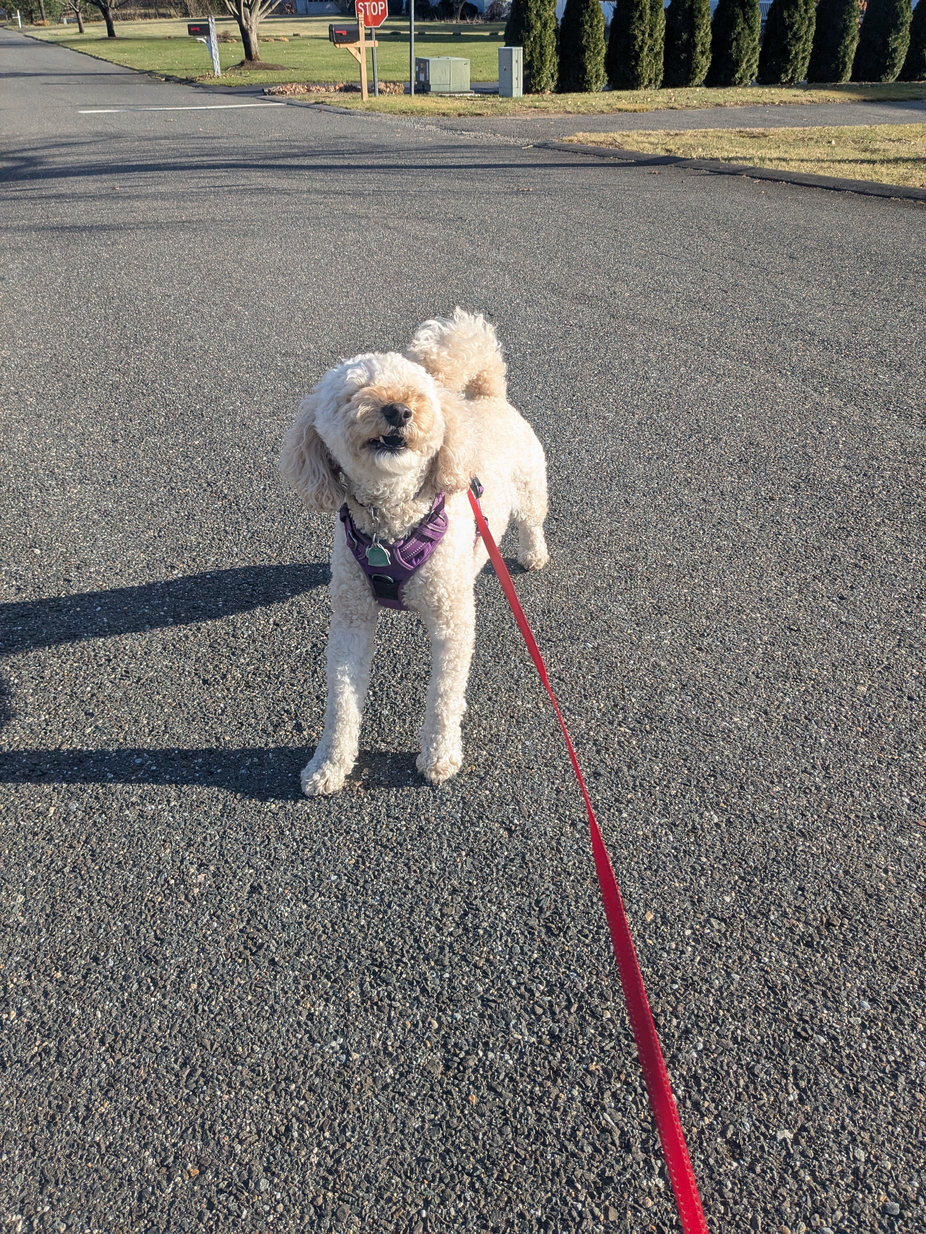 It’s Millie Time!
