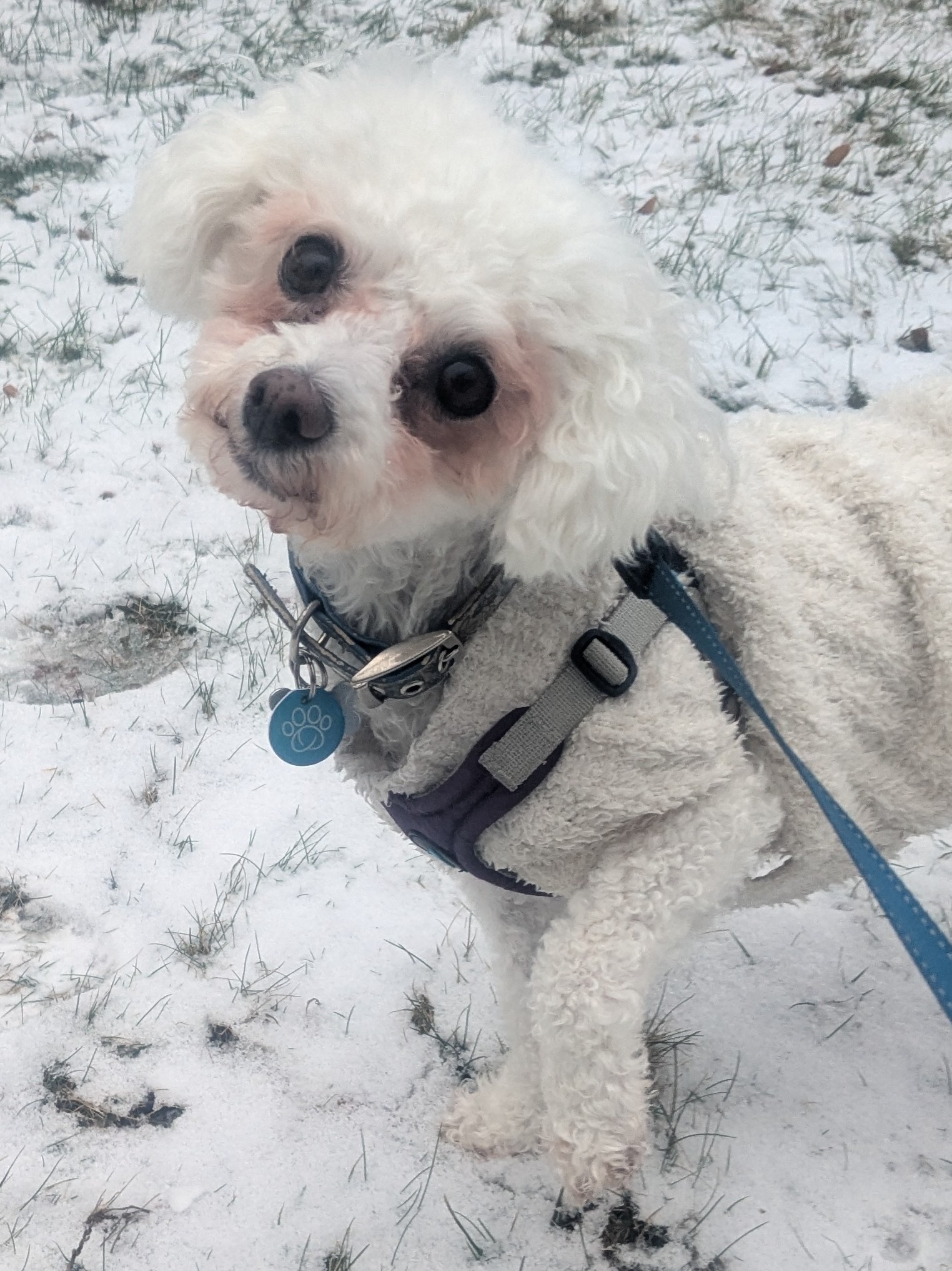 Sweetest Little Snowflake ❄️