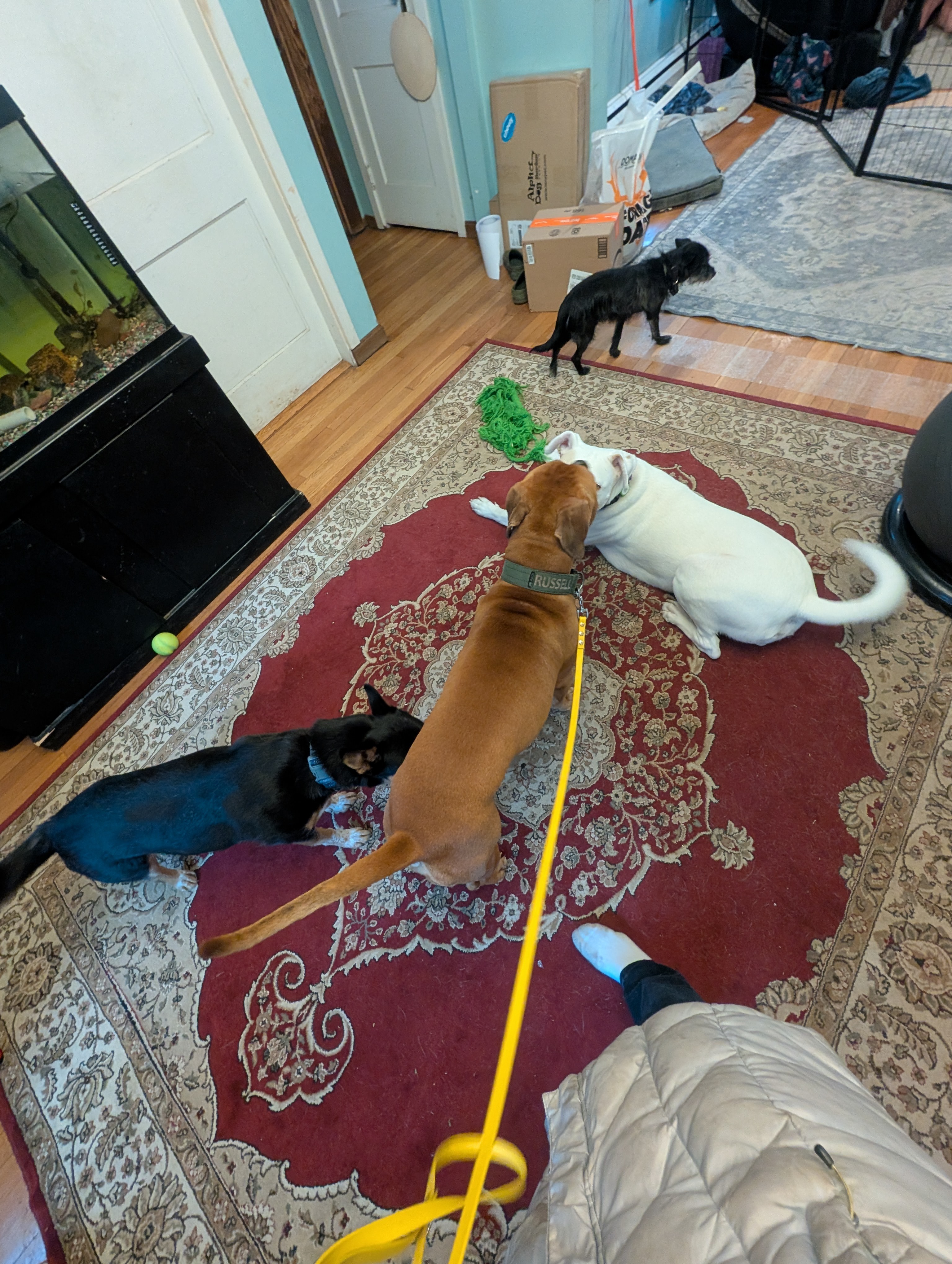 Hanging Out Inside Today