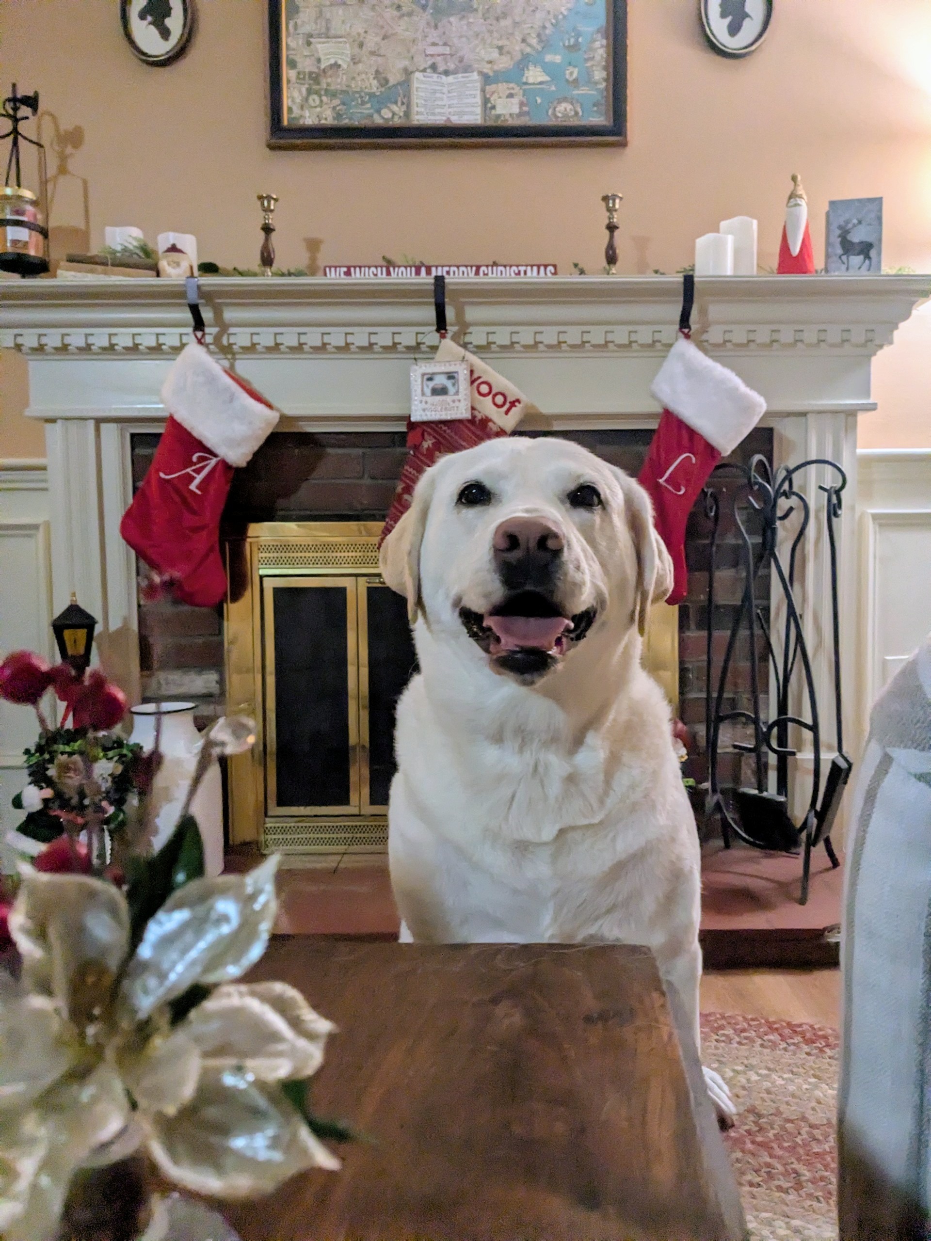 And To All A Good Night 🎅