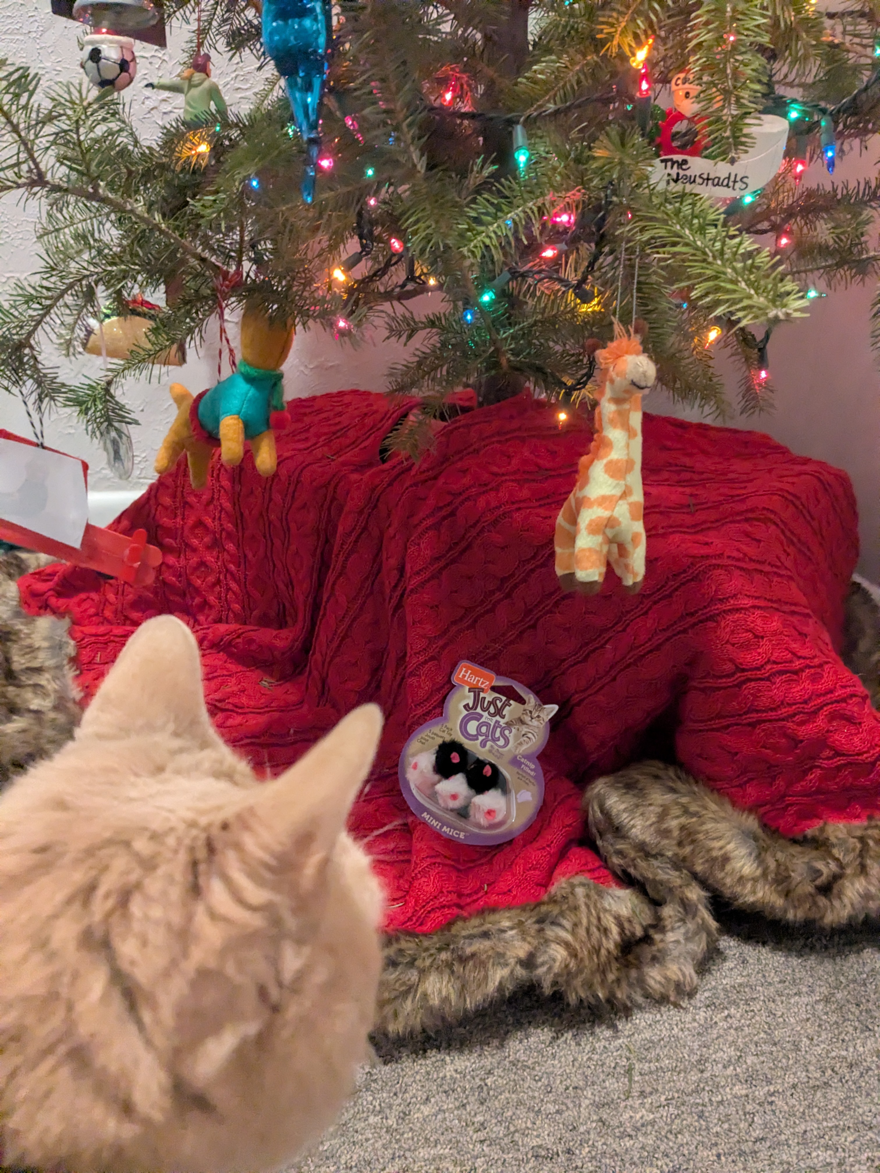 Eeek A Mouse!!! 😂🎁🎄