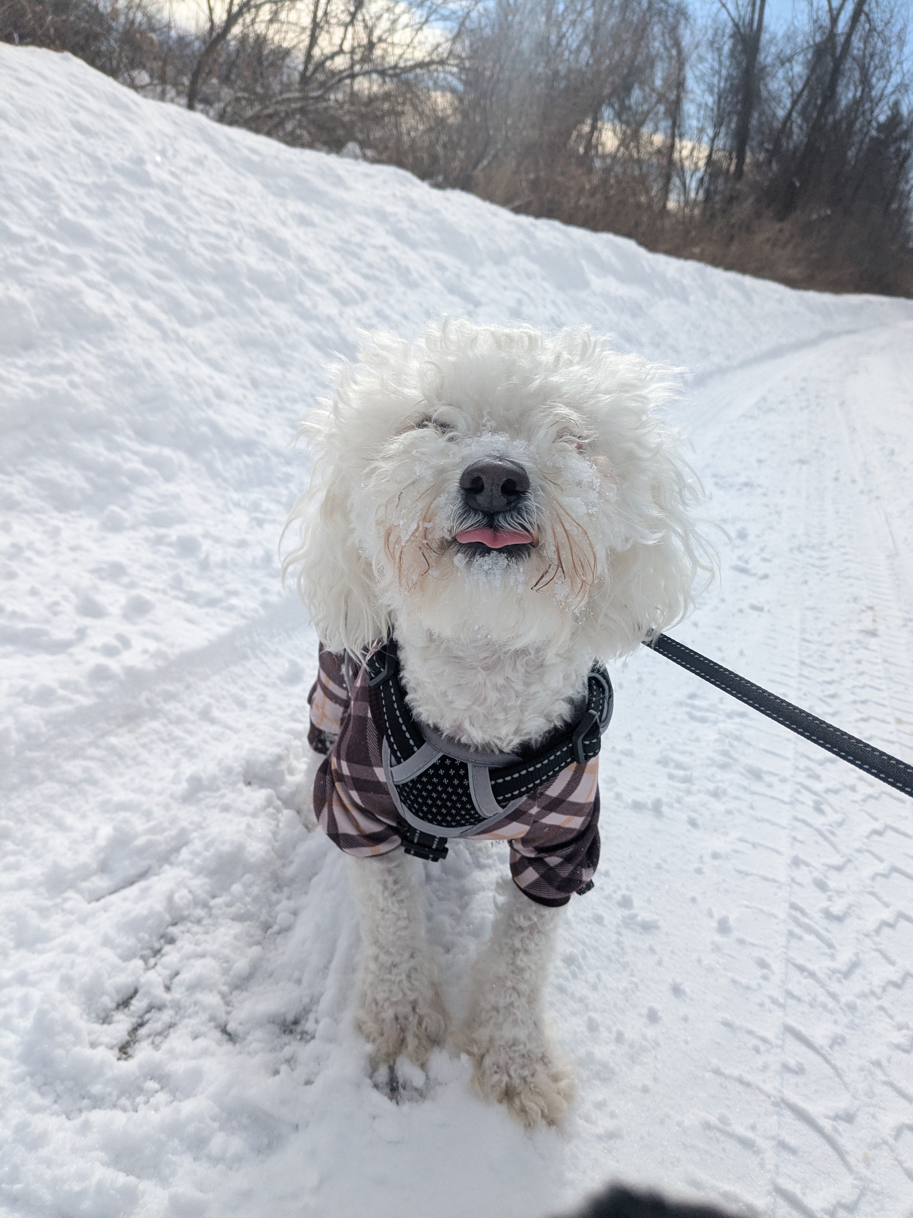 Snow Much Fun!