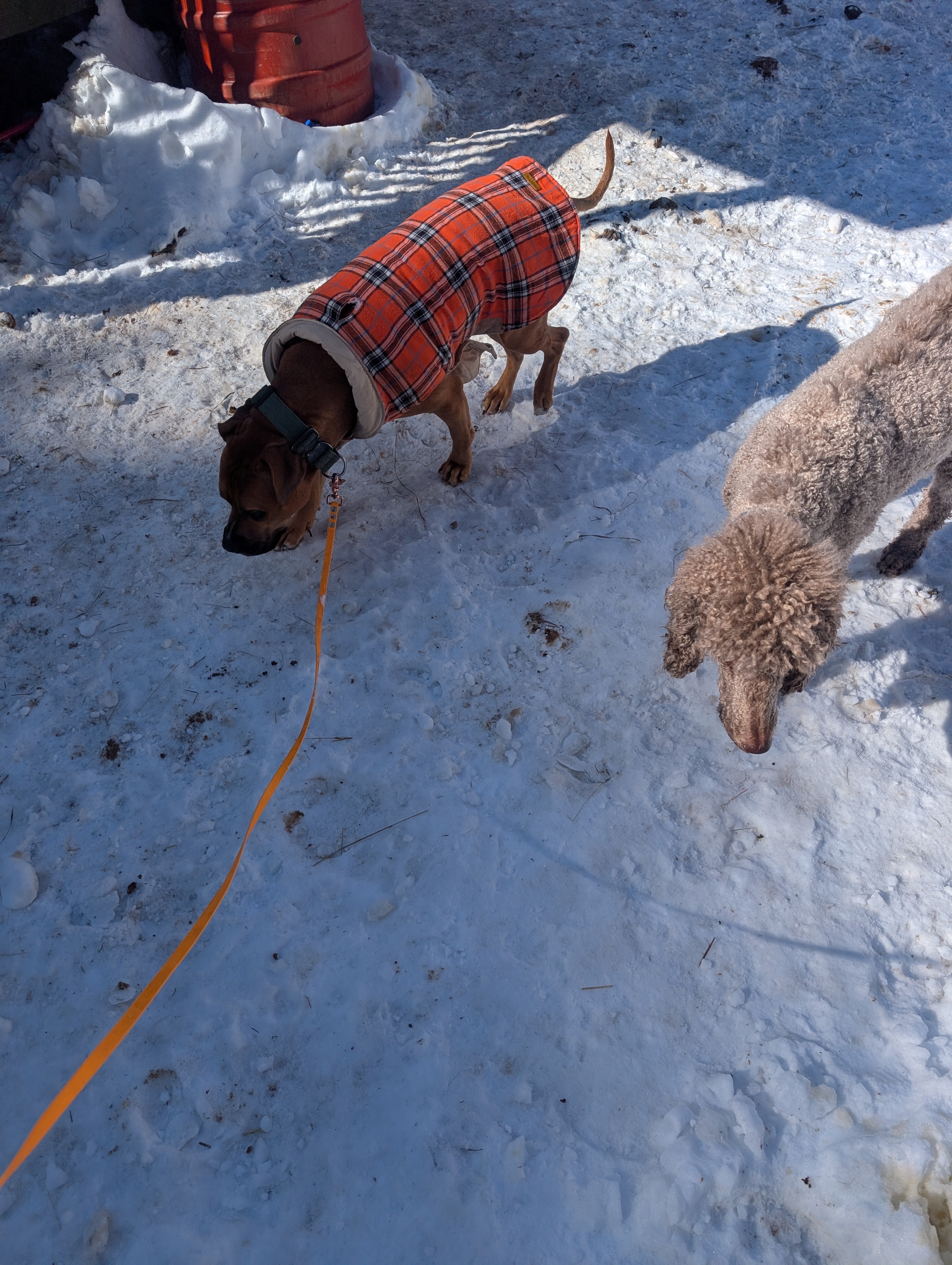 Russell Is Enjoying Hanging Out With Nessie