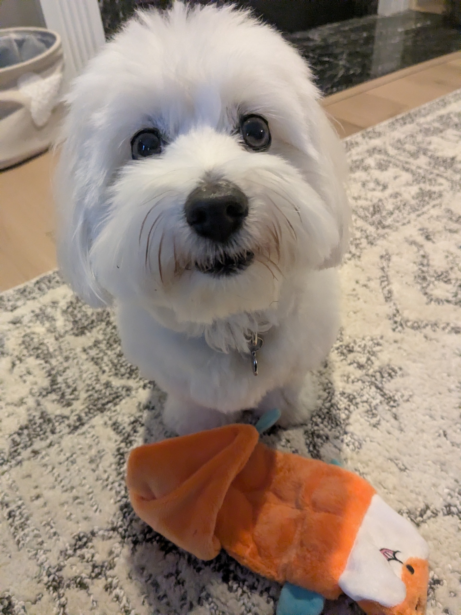 Somebody Is Excited!
