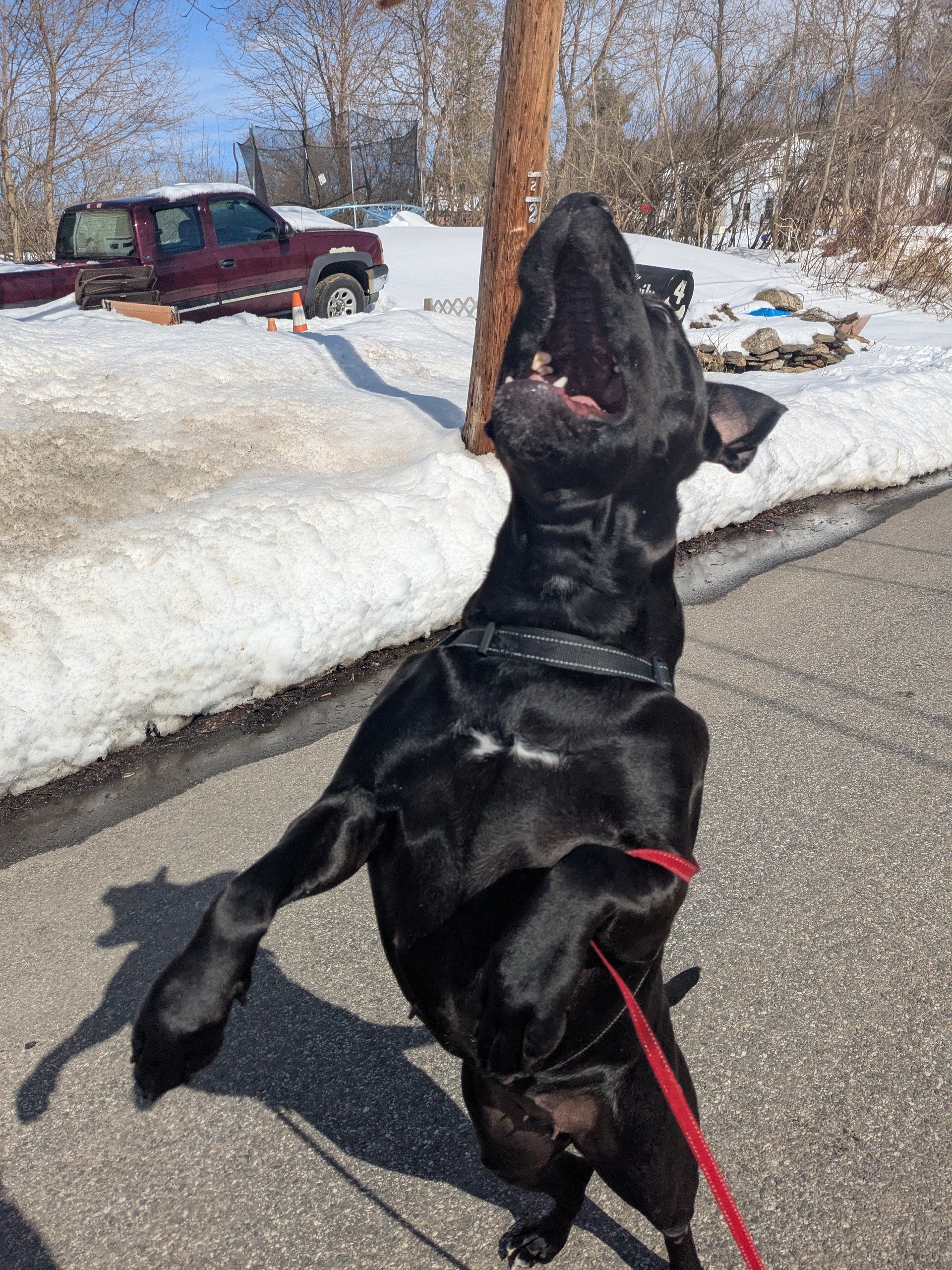 Enjoying The Weather