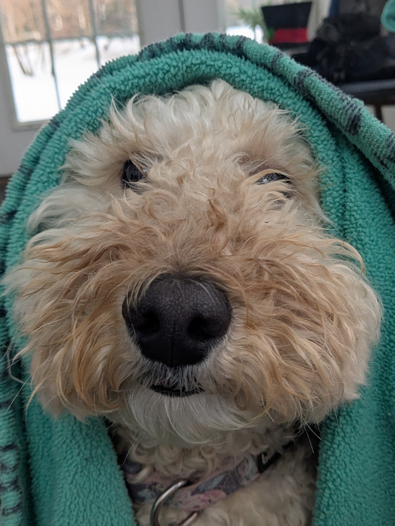 Rainy Day Fun