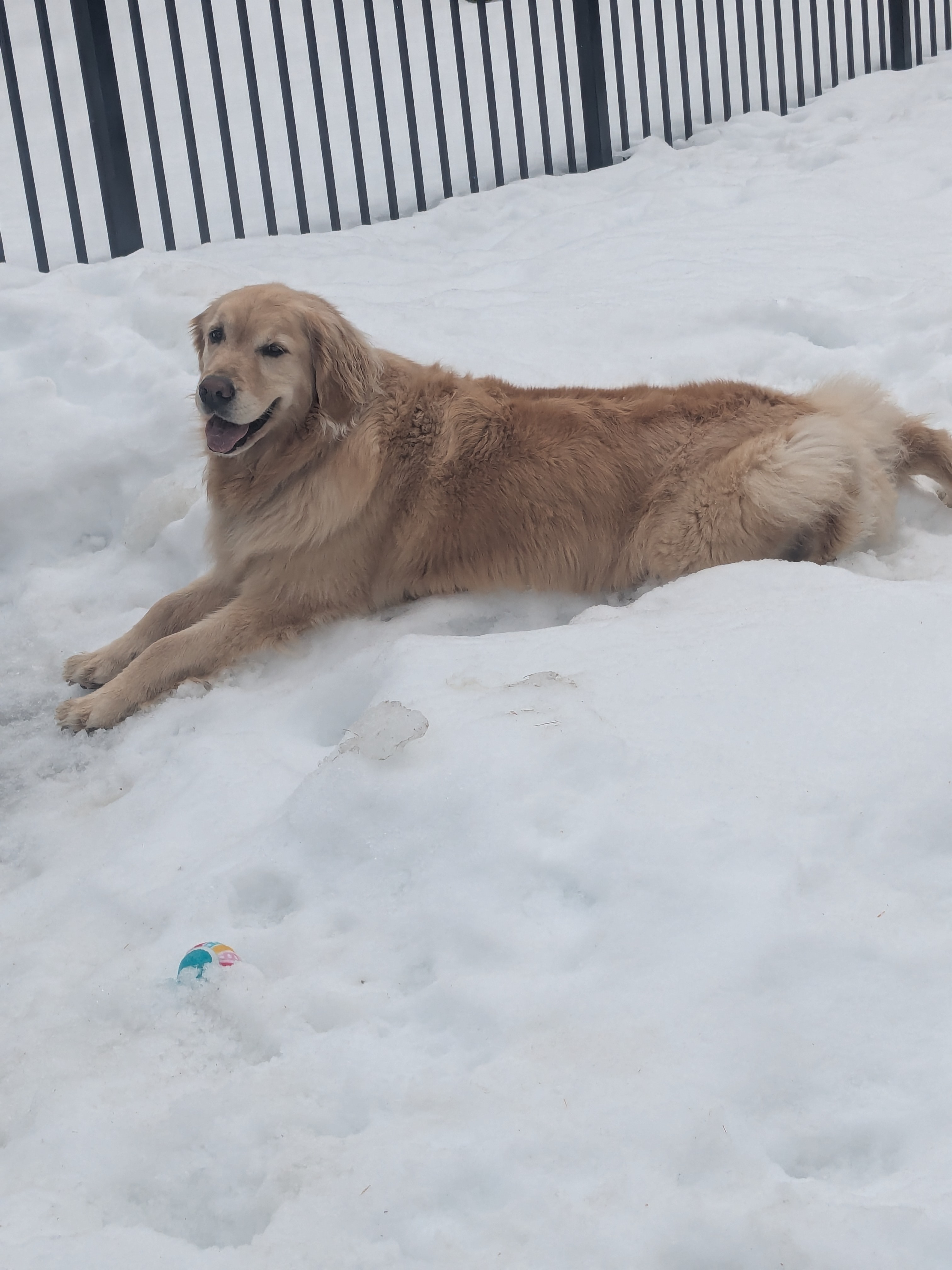 Maddy Is So Chill! 🤣