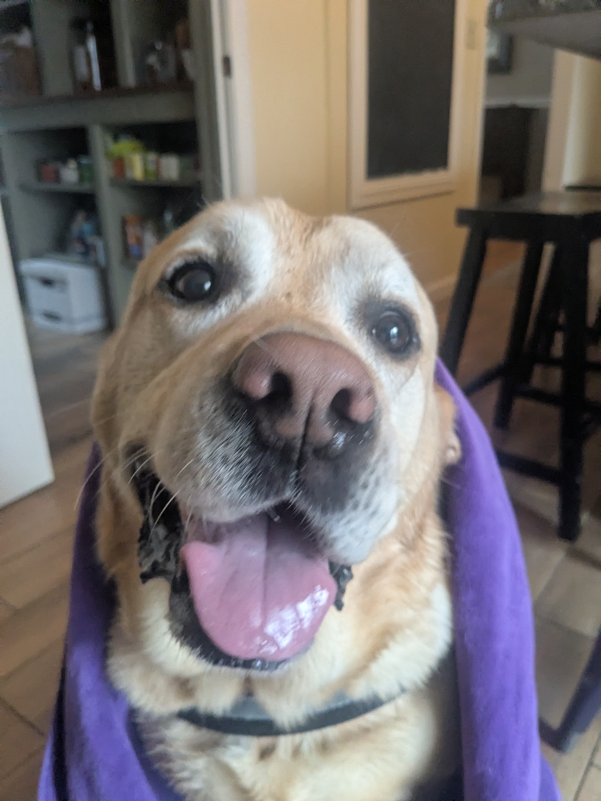 Mudder Tucker