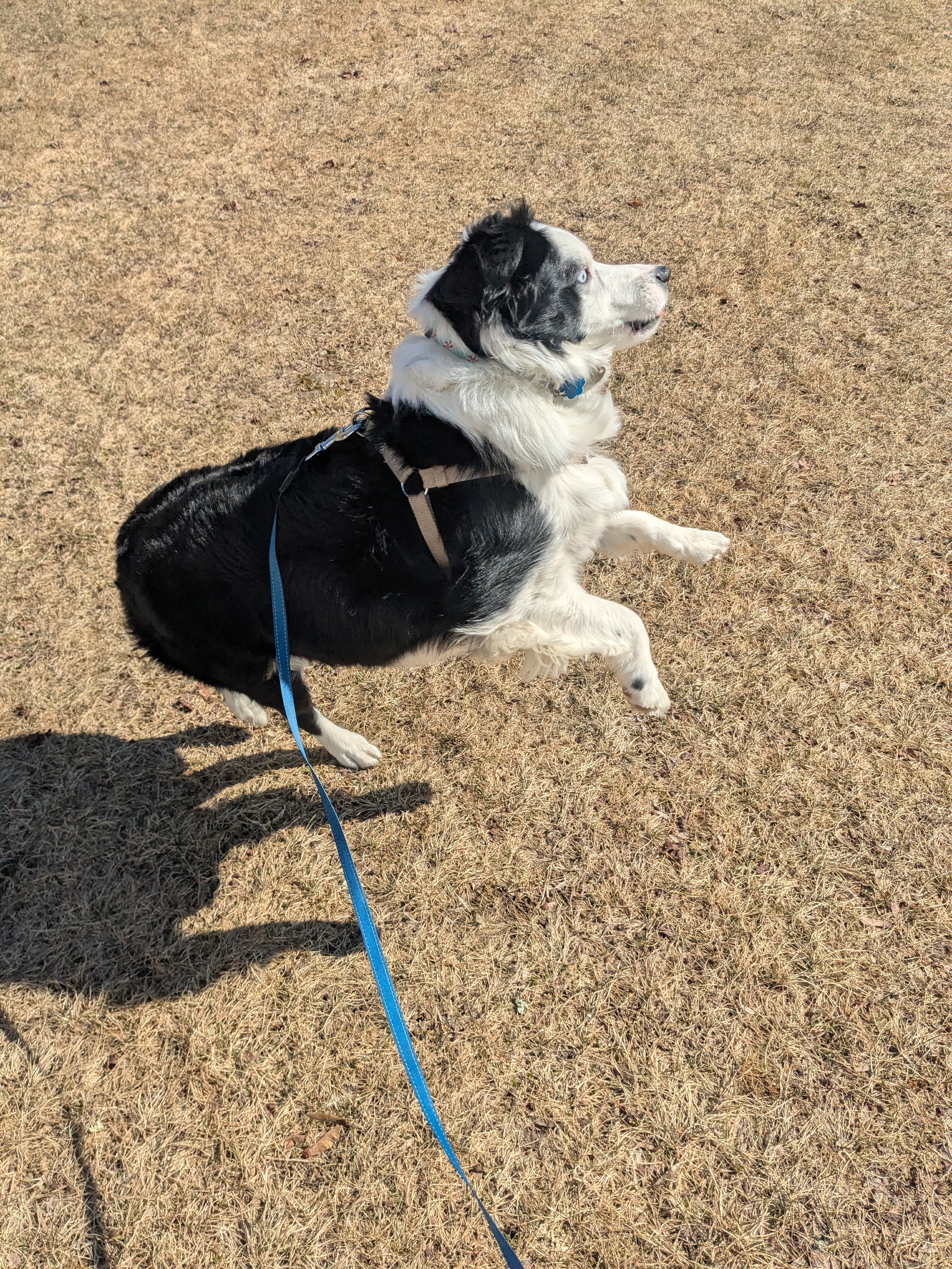 Excited For Spring!
