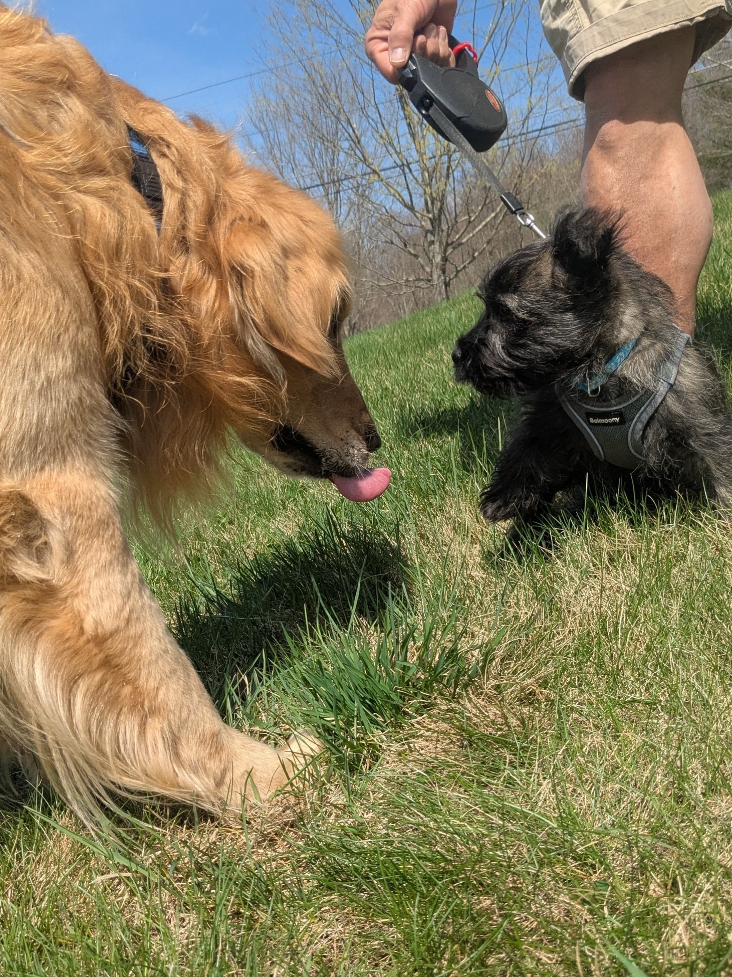 Friends And Neighbors 🥰