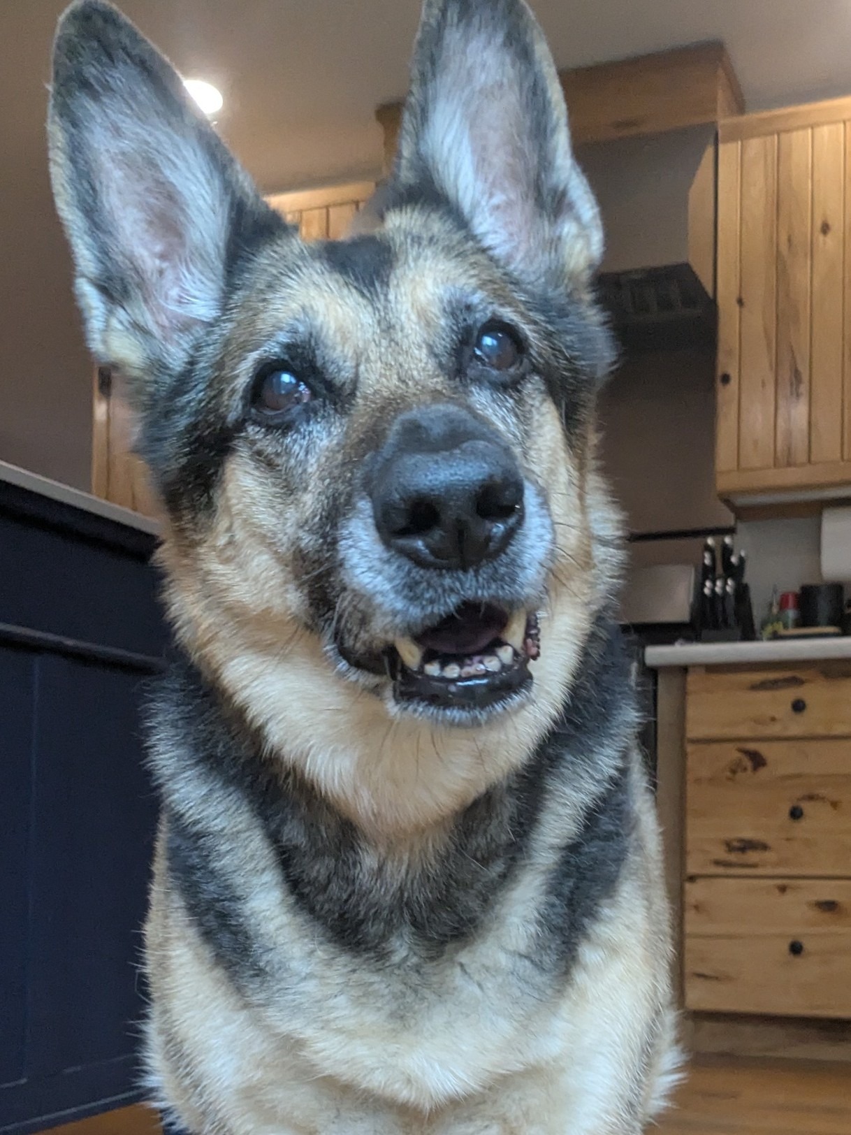 Nova Sunday Morning