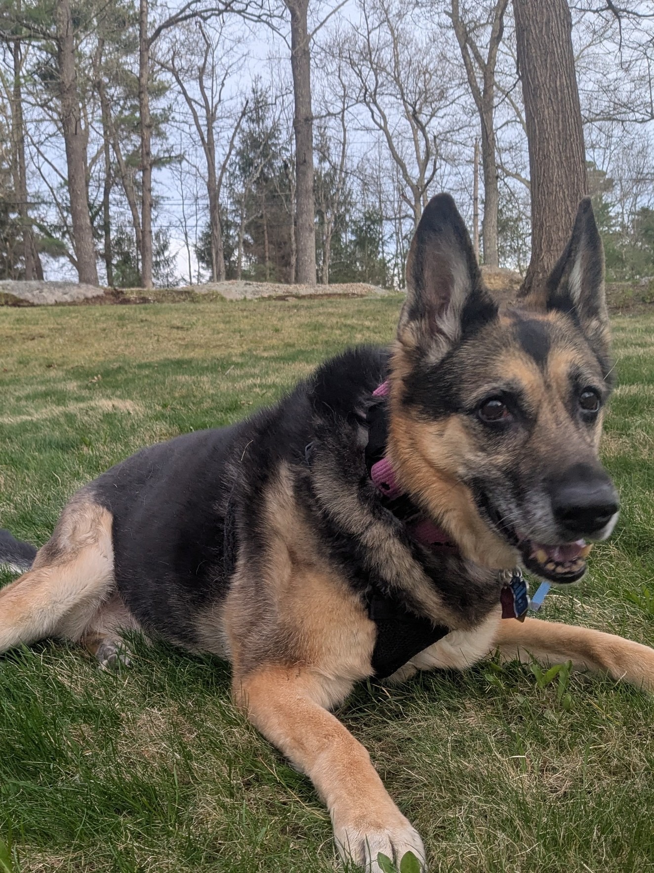 Protecting The Homestead