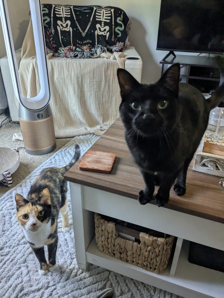 My New BFFs😻😻