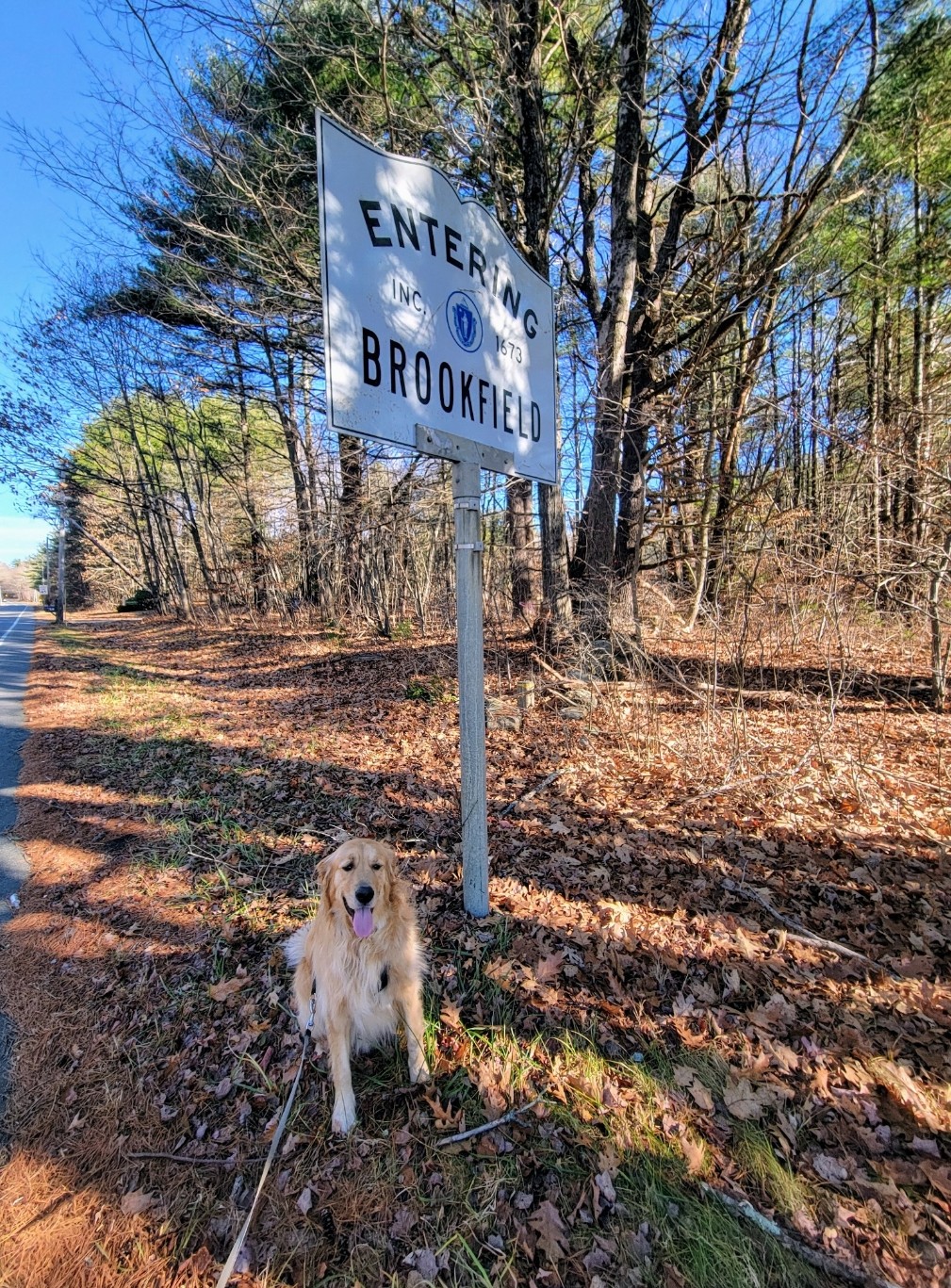 In Two Places At Once! 🛣