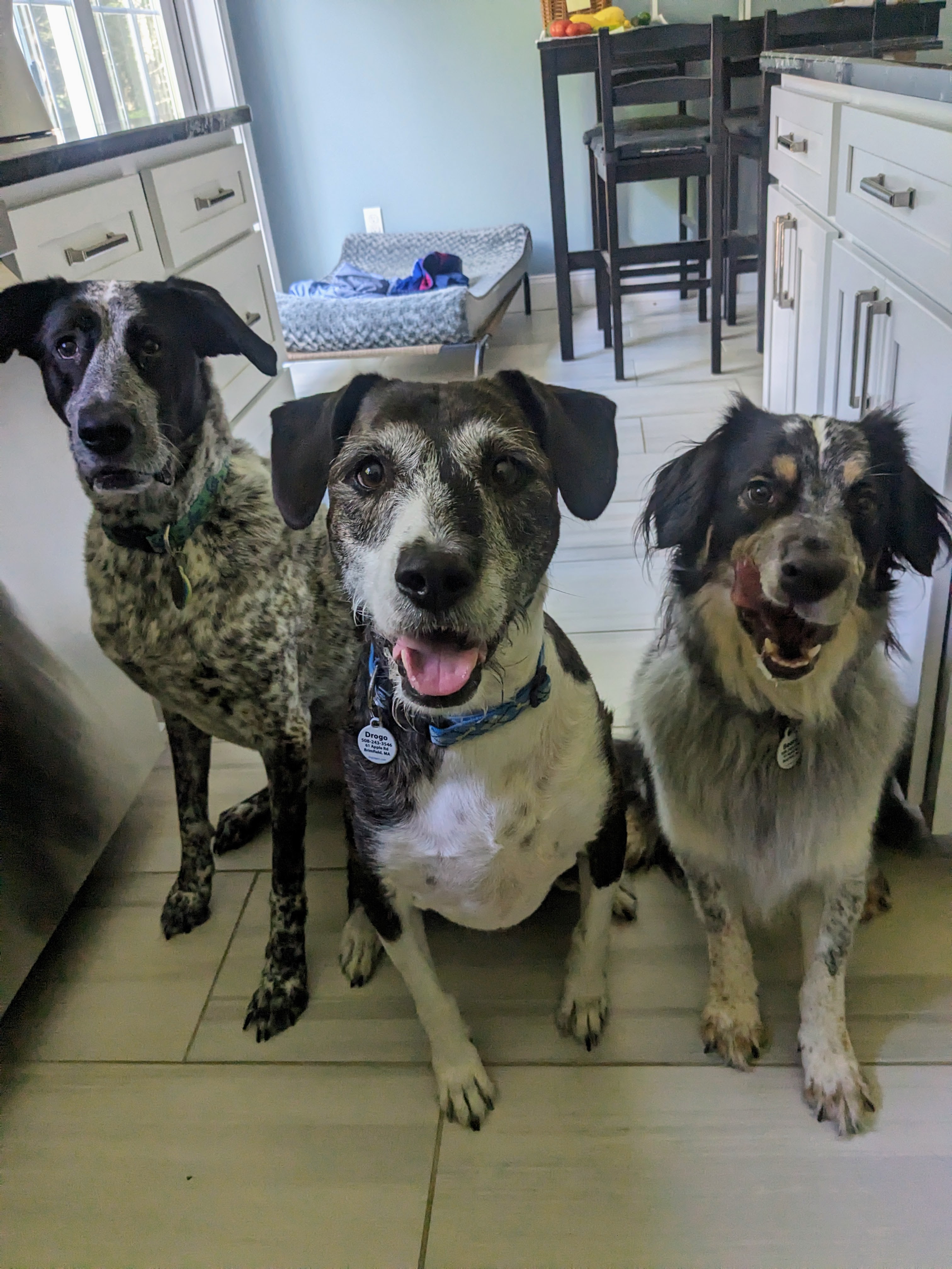 The Three Amigos